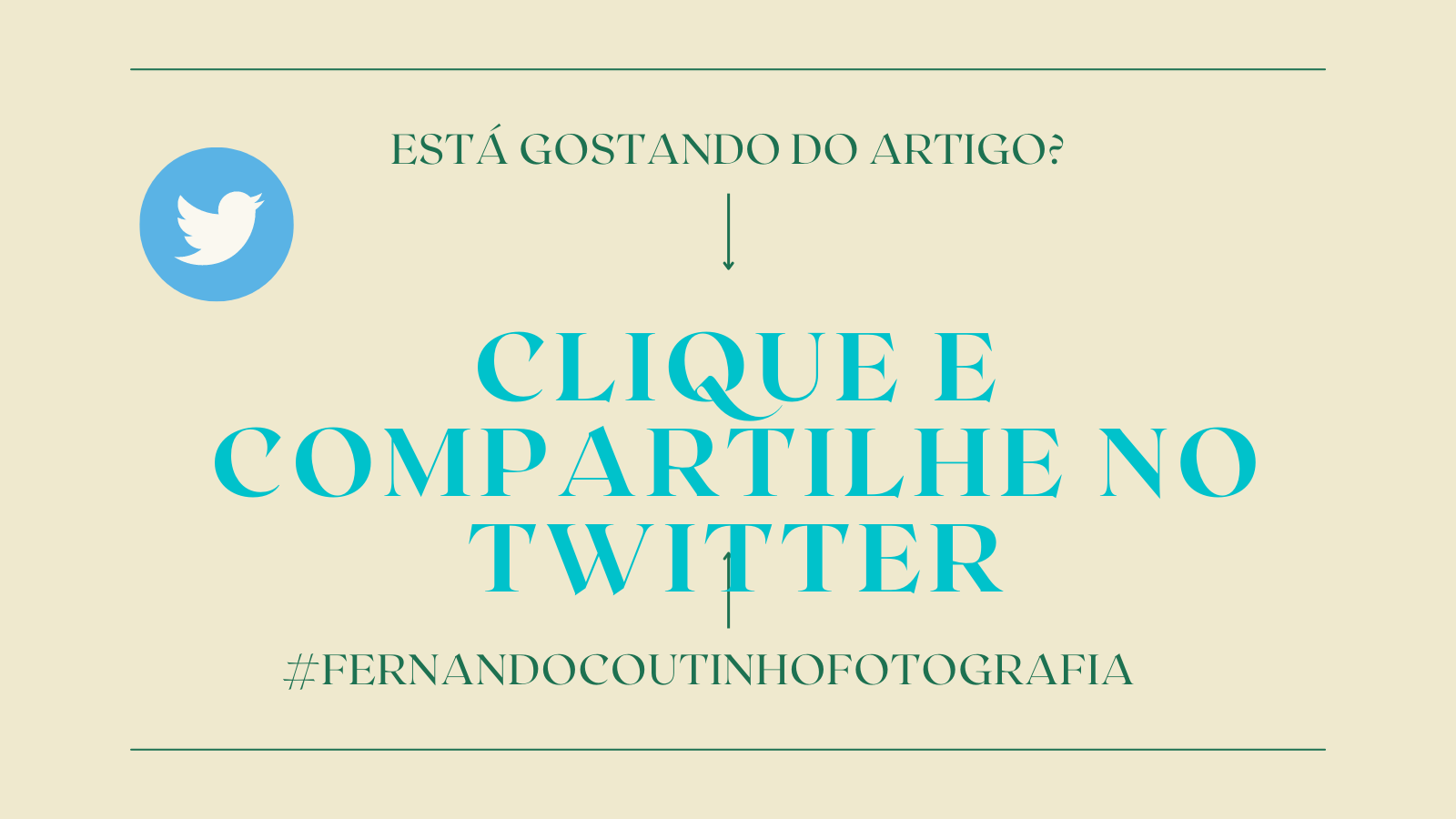 BOTAO CTA COMPARTILHAR ARTIGO NO TWITTER