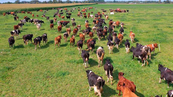 mANUTENÇÃO E SEGURANÇA