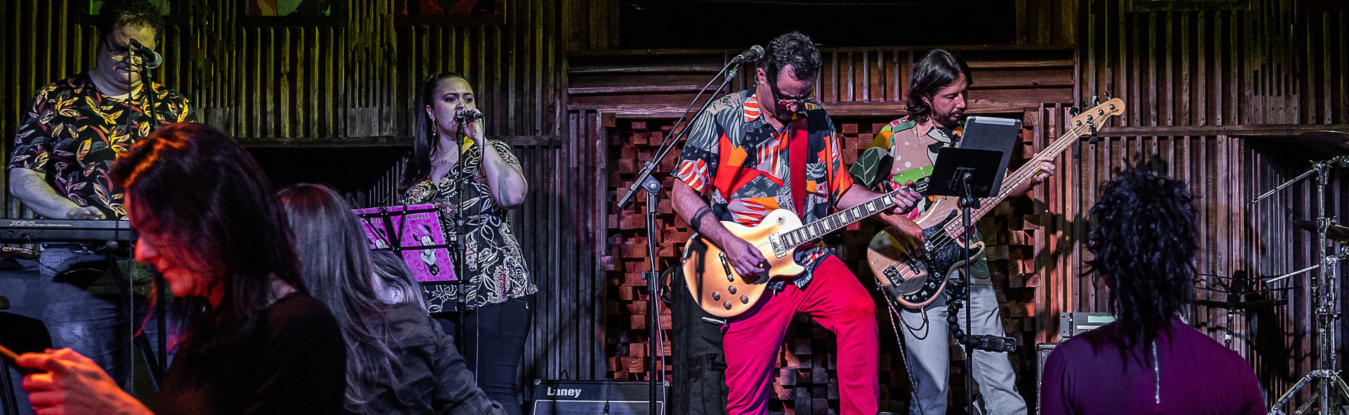 Imagem do palco com destaque para o Vocalista que também toca guitarra. Roupas coloridas do vocalista, baixista, vocalista mulher e também do tecladista. O fundo do palco é cheio de texturas em madeira