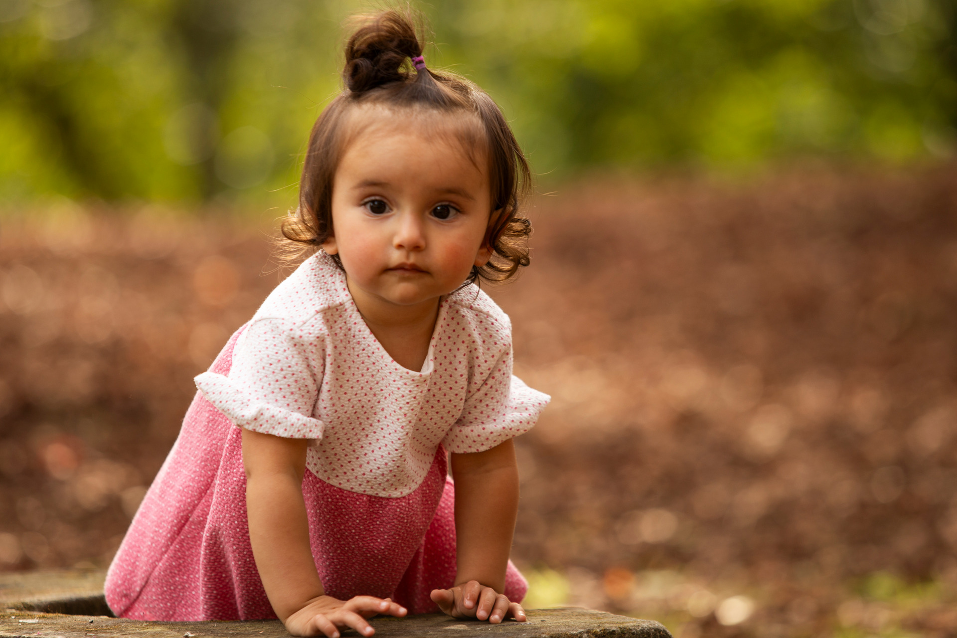 book de gestante pai beijando a barrida