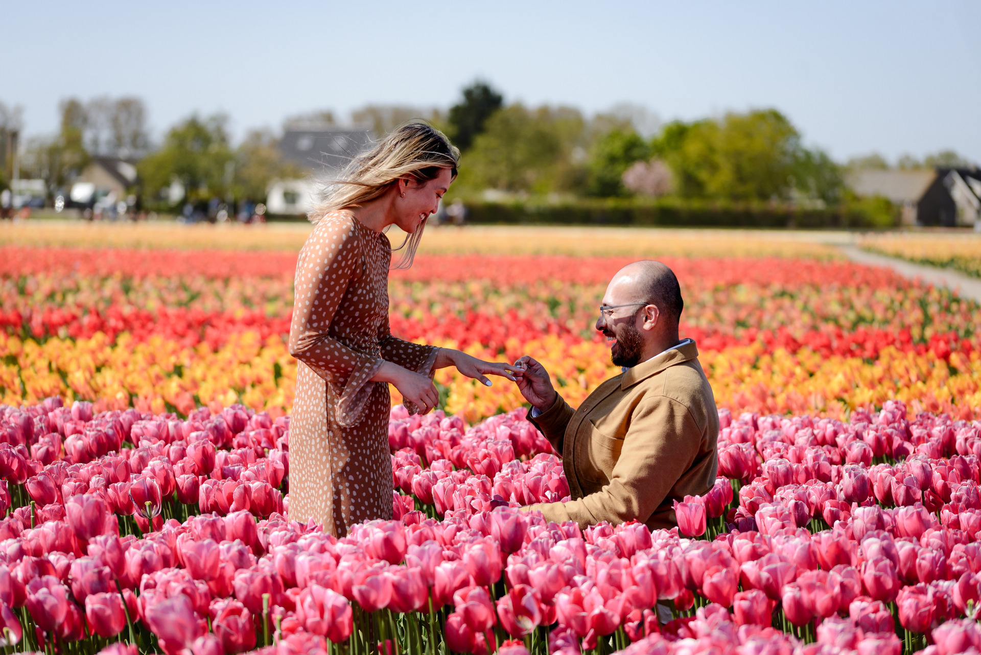surprise engagement proposal on a tulip garden