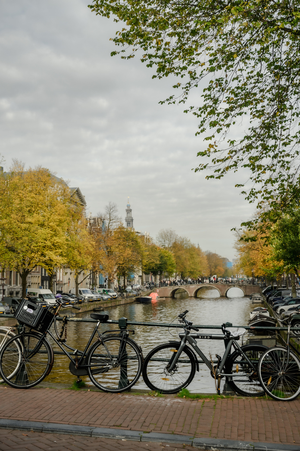Two bicycles parked beside an Amsterdam canal, with a stone bridge, yellow autumn trees and cloudy sky in the background.
