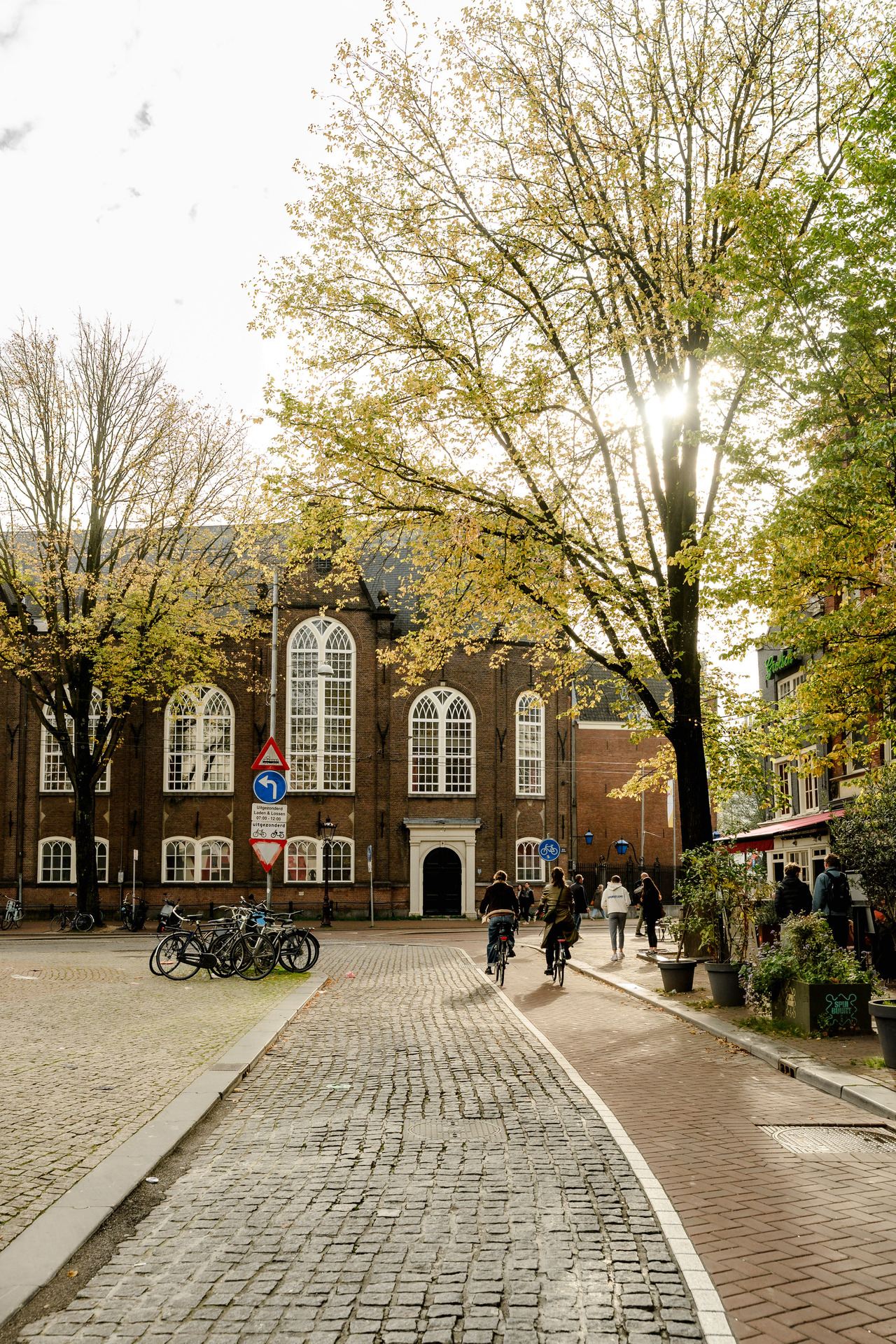 Sunlight filtering through yellow autumn leaves above a cobblestone street, with cyclists and a historic brick building in Amsterdam.