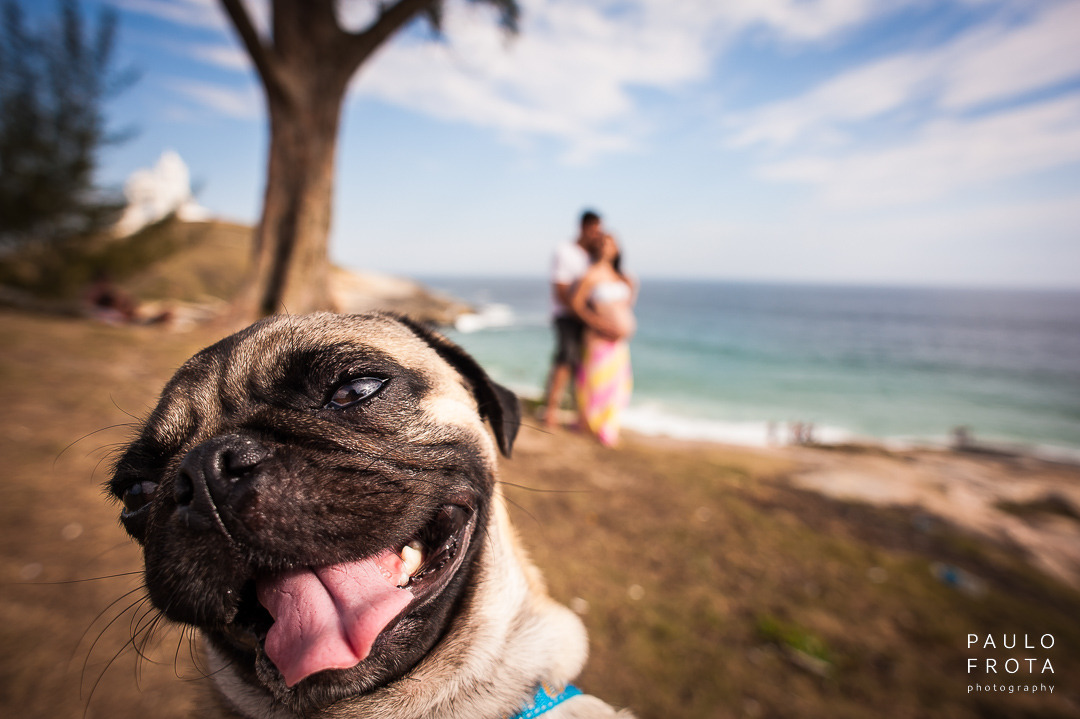 cachorrinho olhando para a foto com a lingua para fora. casal ao fundo se abraça.