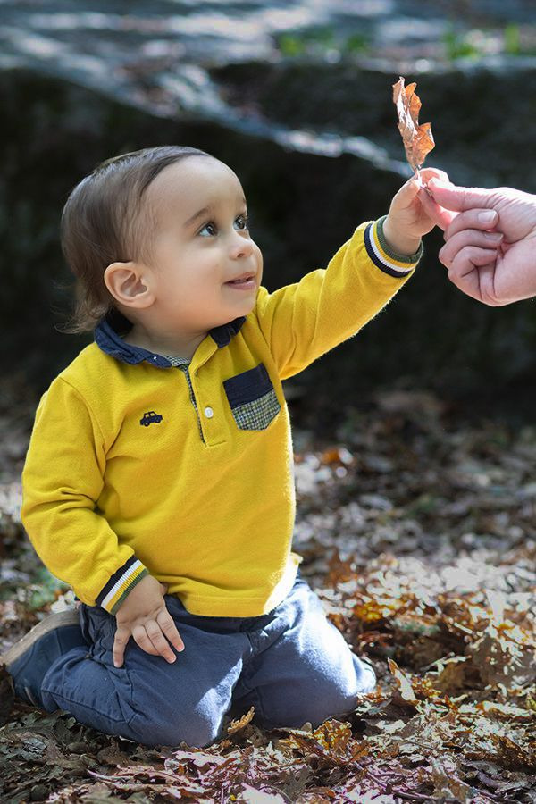 Que linda folha eu encontrei no Fontelo