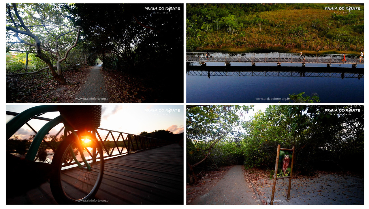 Pedalar do Parque Municipal Klaus Peters à Praia do Lord em Praia do Forte Bahia