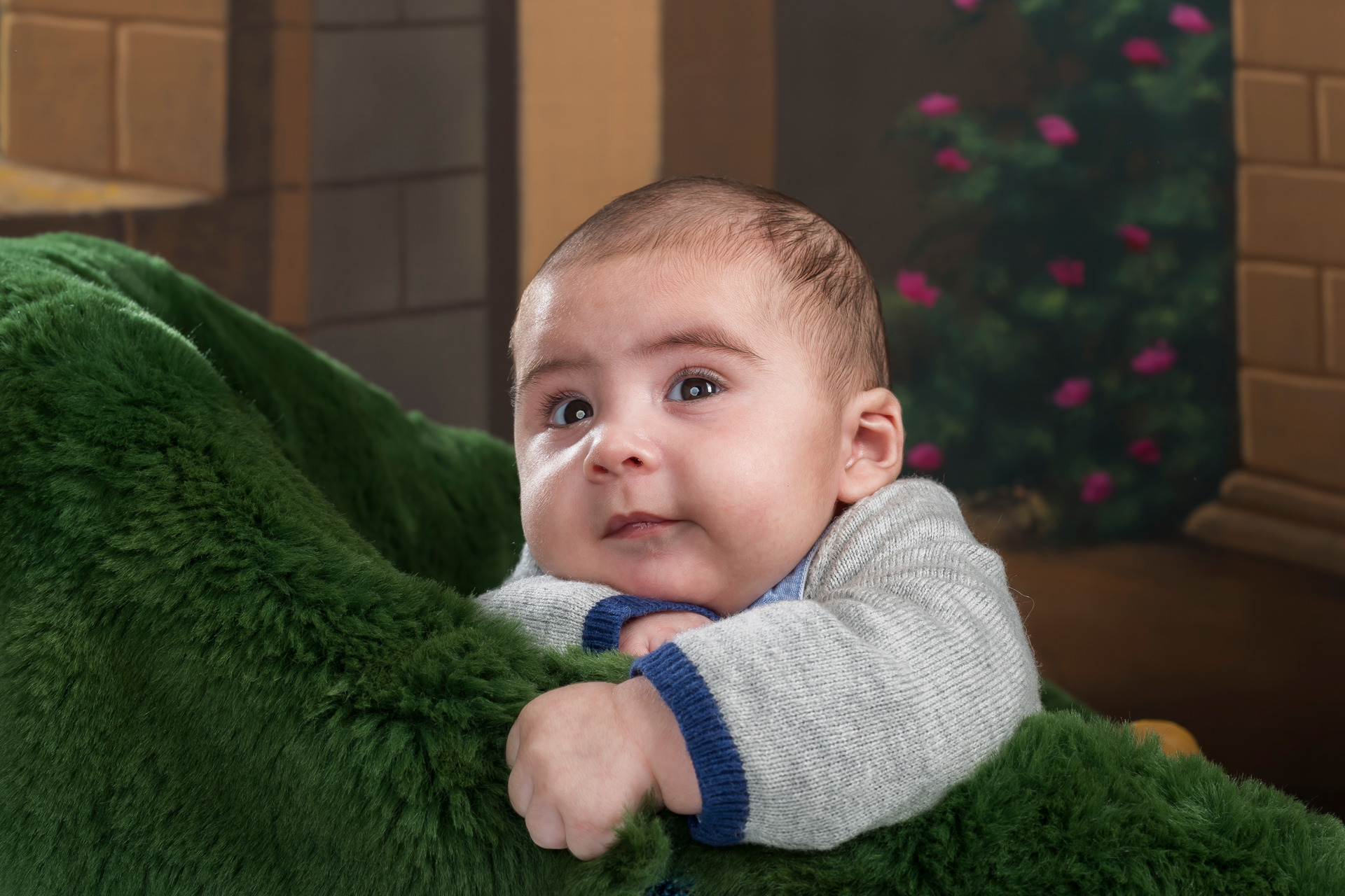 sessão fotográfica