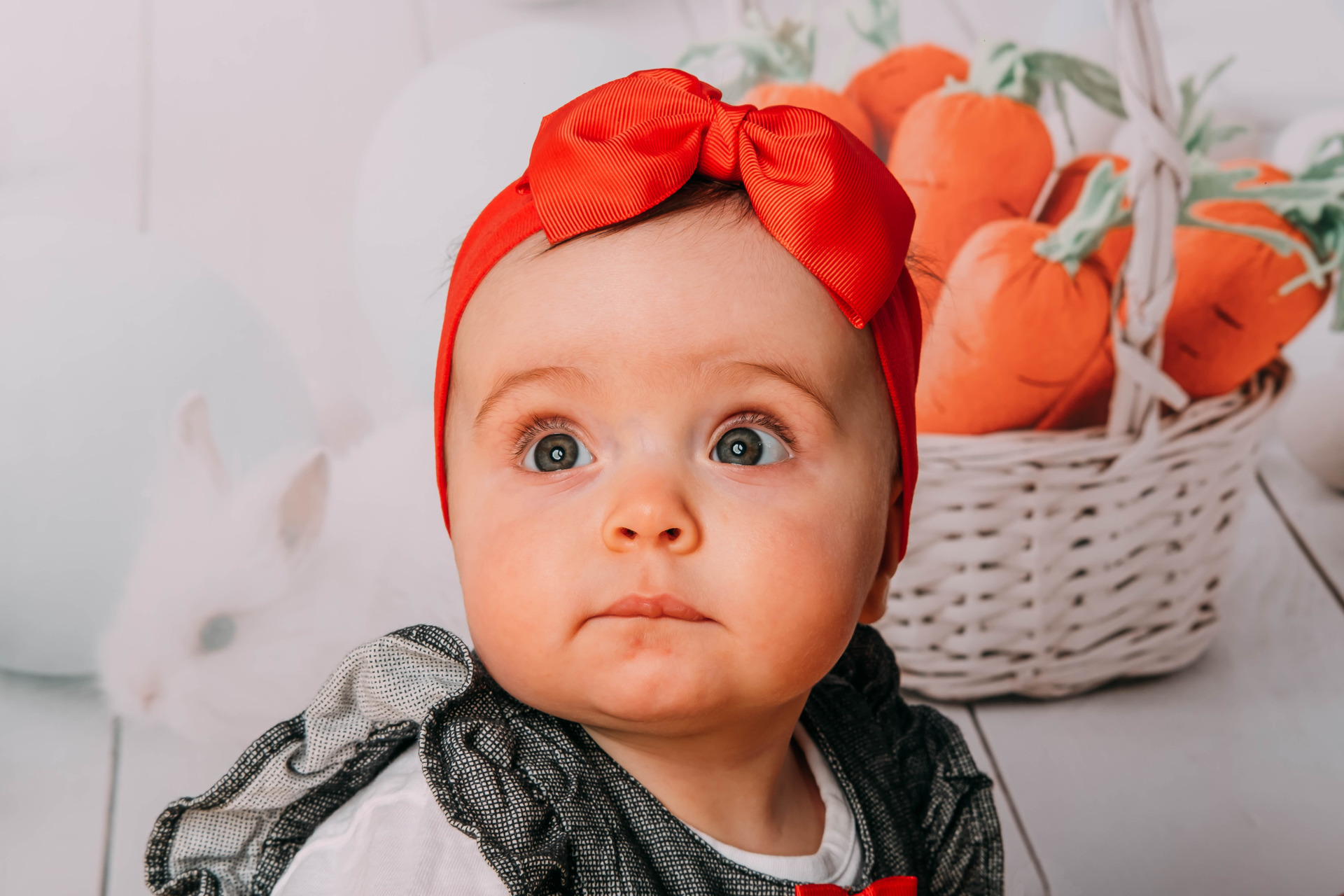 sessão fotográfica