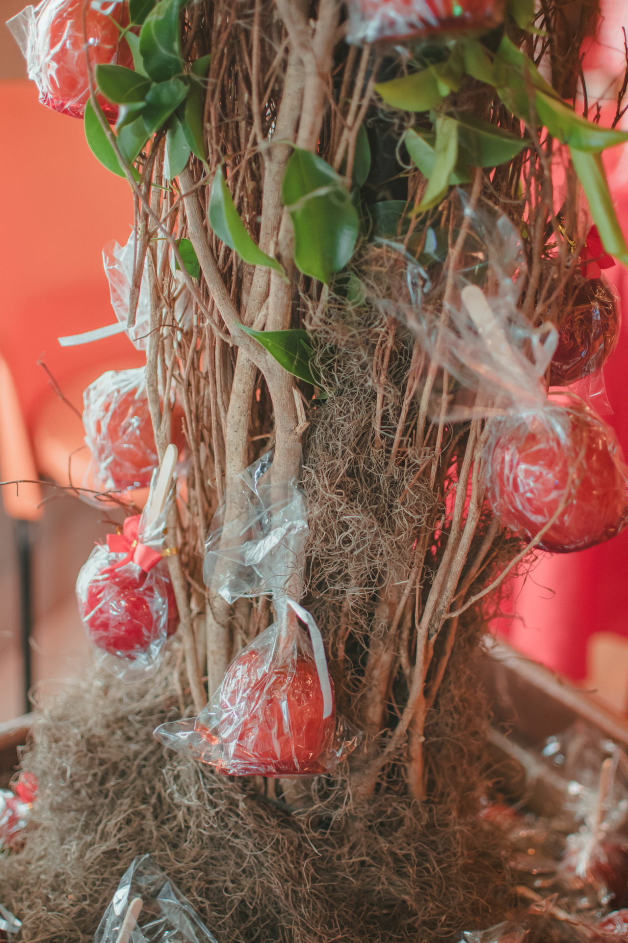 maçã do amor pensduradas em galhos de árvores, como decoração de festa de 1 ano.