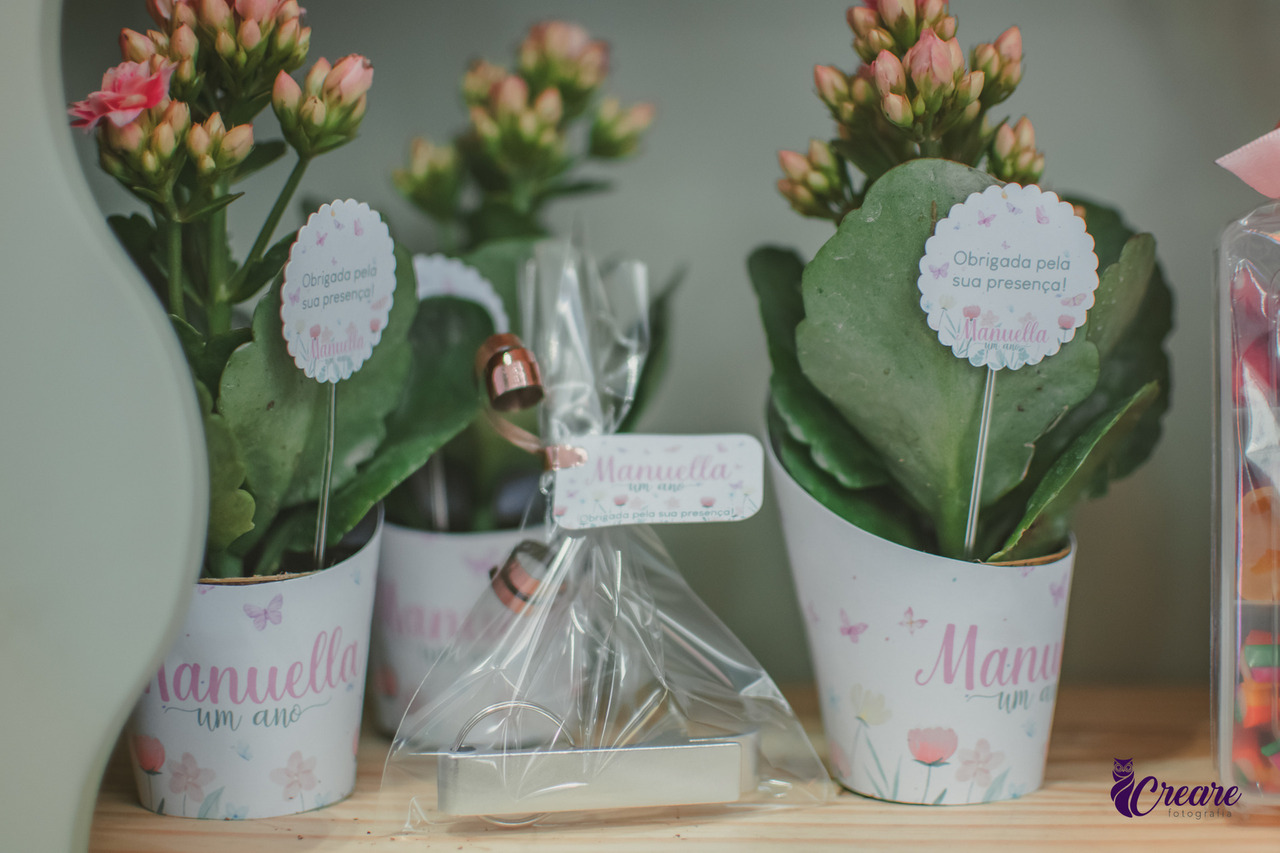 Mini plantas decoradas com o nome Manoela, para lembrancinha de festa de 1 ano.