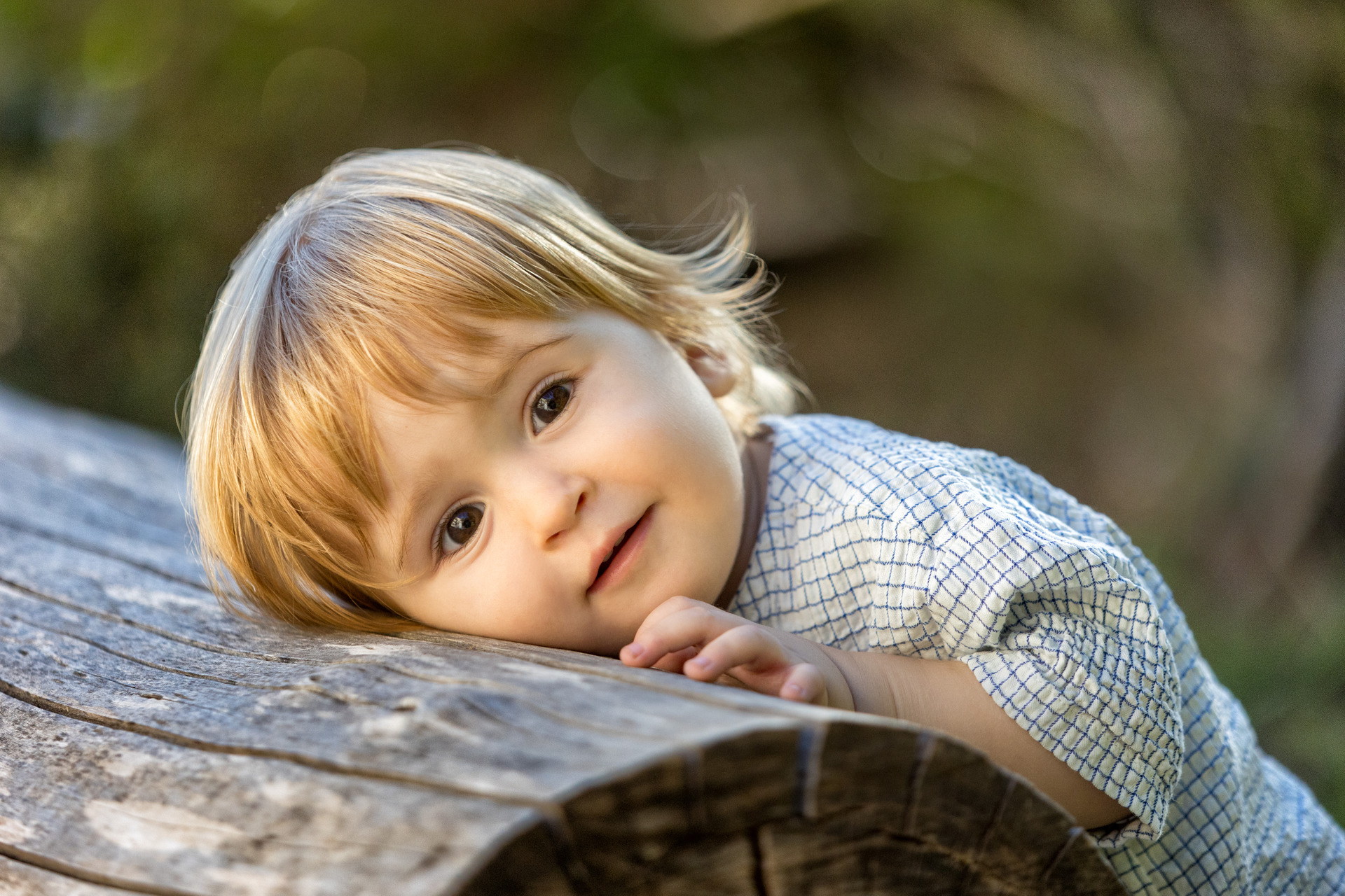 Estudios y Exteriores