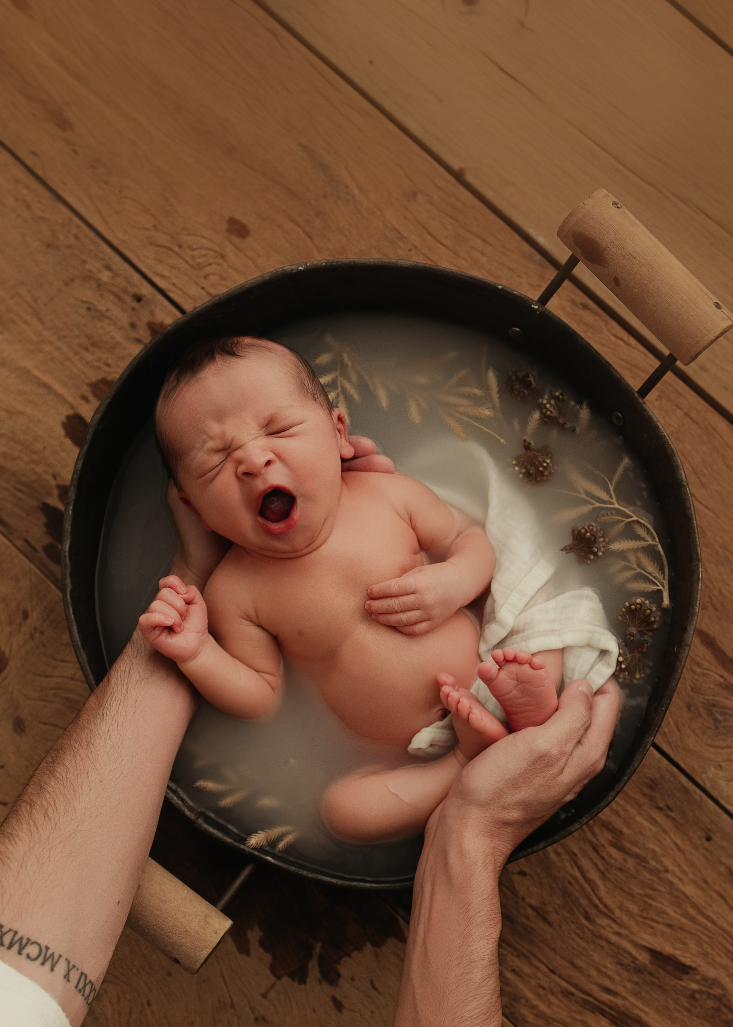 Recém-nascido no banho, ensaio newborn