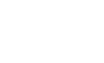 Bel Ferreira
