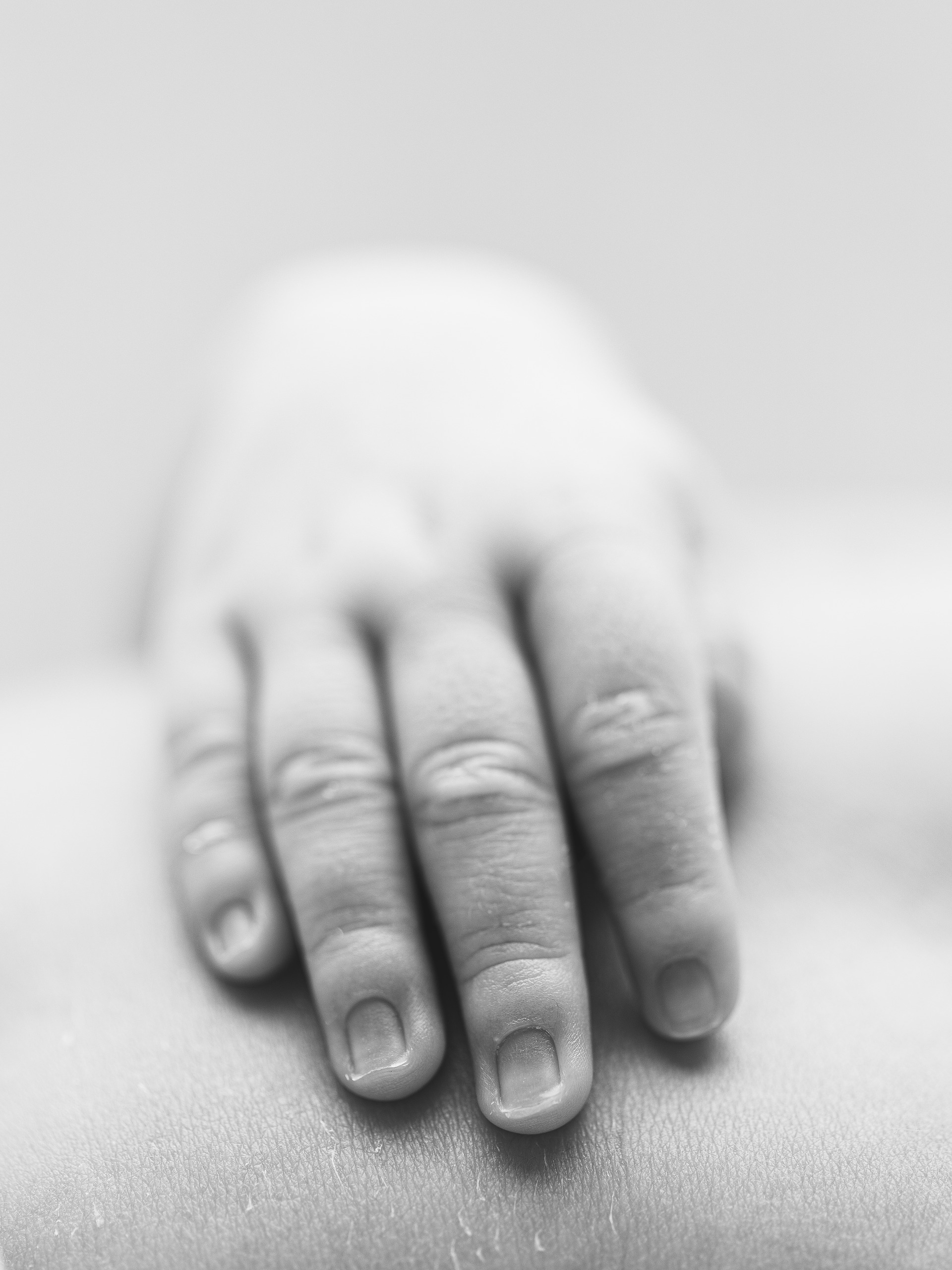 Michelly Allves e Braulio