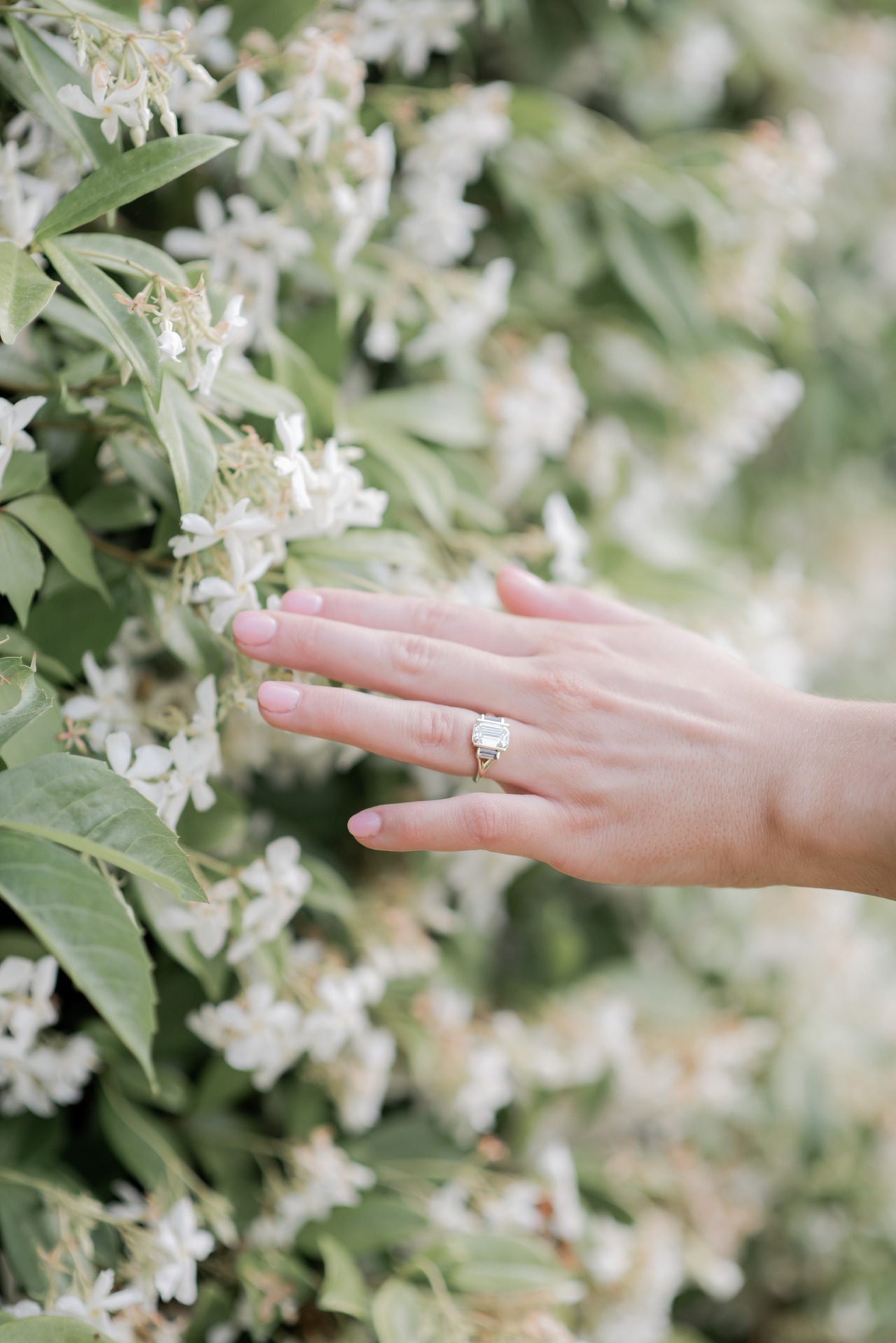 Engagement ring detail against a wall of white jasmine in flower in the gardens of Palácio de Monserrate, Sintra, by Mariana Castanheira