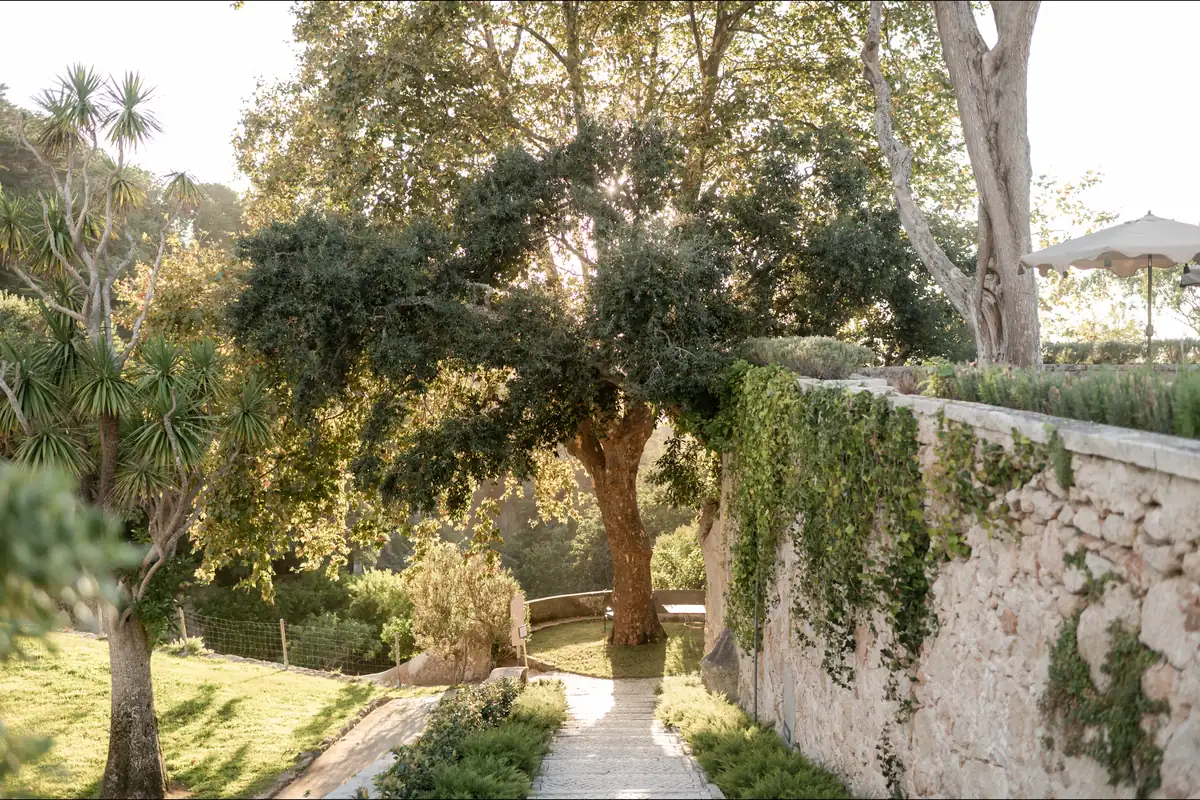 Gardens and old trees at Palácio de Seteais, Sintra proposal photography by Mariana Castanheira