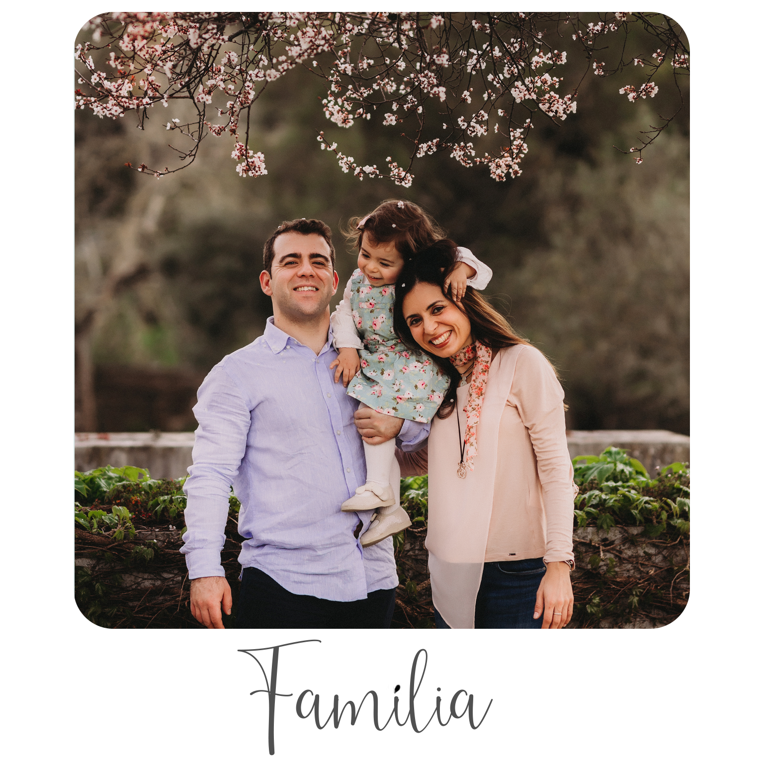 fotografo sessão fotográfica família