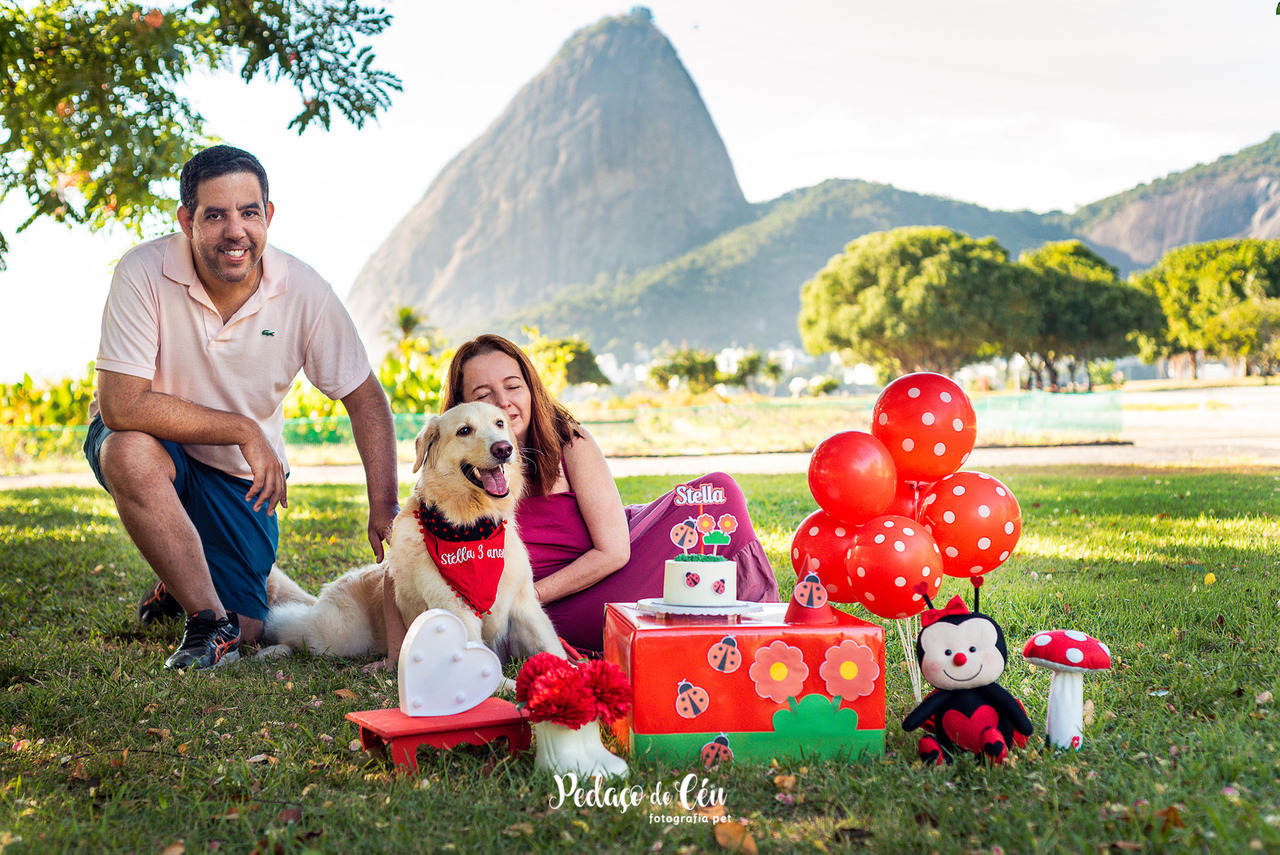 Smash the cake pet com família Aterro do Flamengo