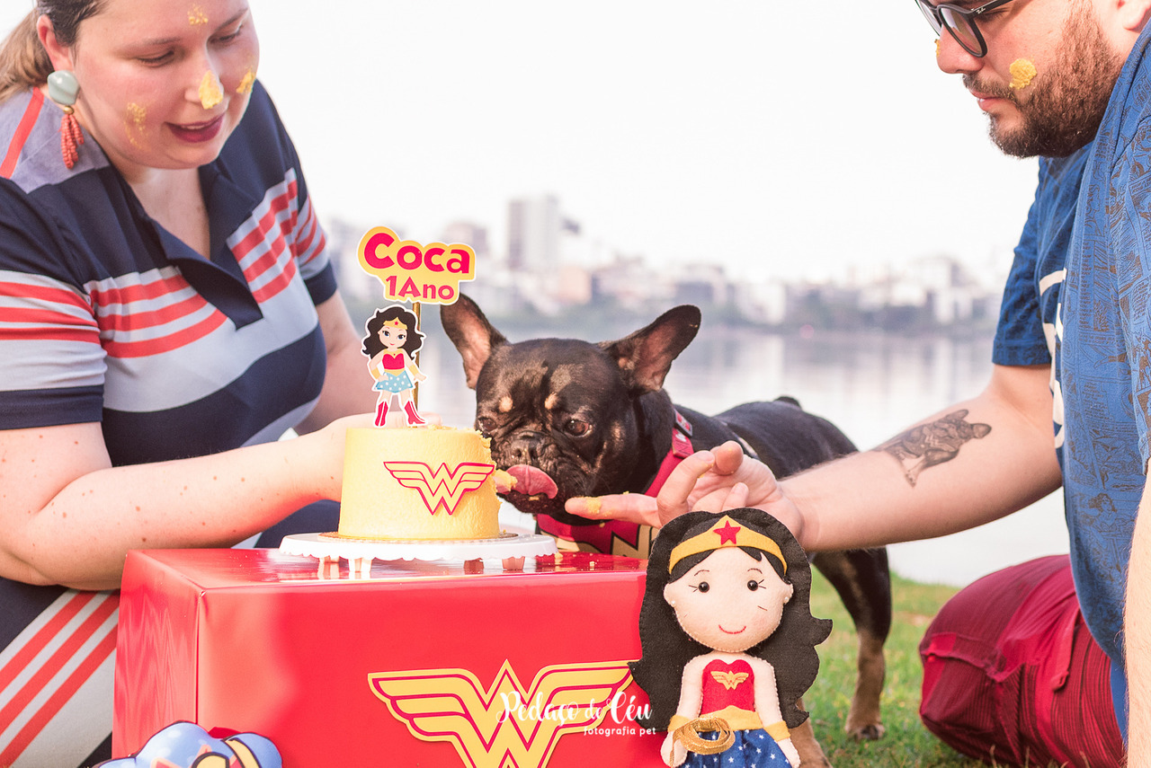 Smash the cake bulldog francês Lagoa Rodrigo de Freitas