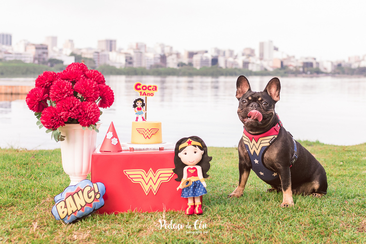 Parceria com Buffet Pet - Confeitaria Pet - Ensaio Smash the Cake Pet