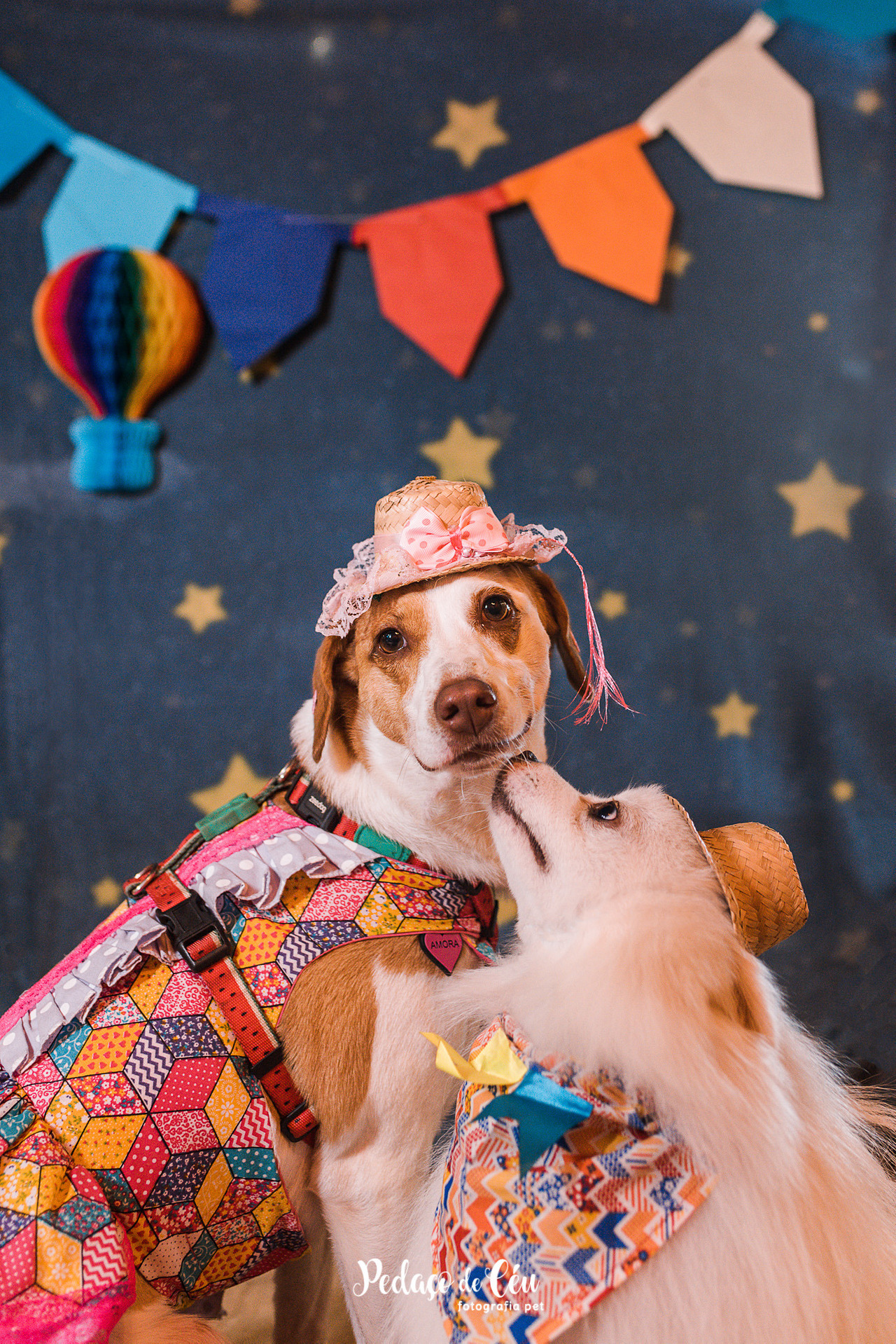 Parceria em Banho e Tosa/Petshop - Estúdio móvel com ensaio pet temático