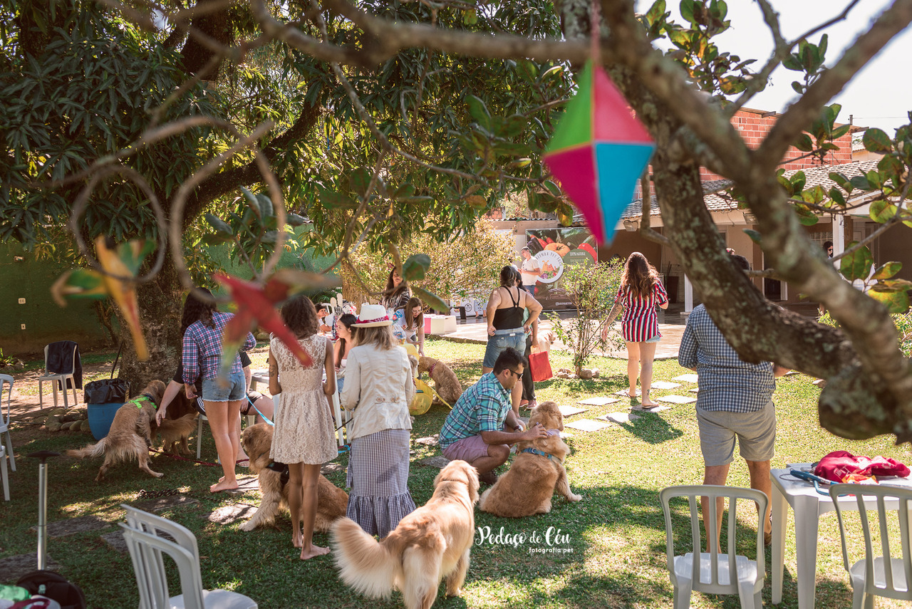 Encontro de raças - eventos petfriendly