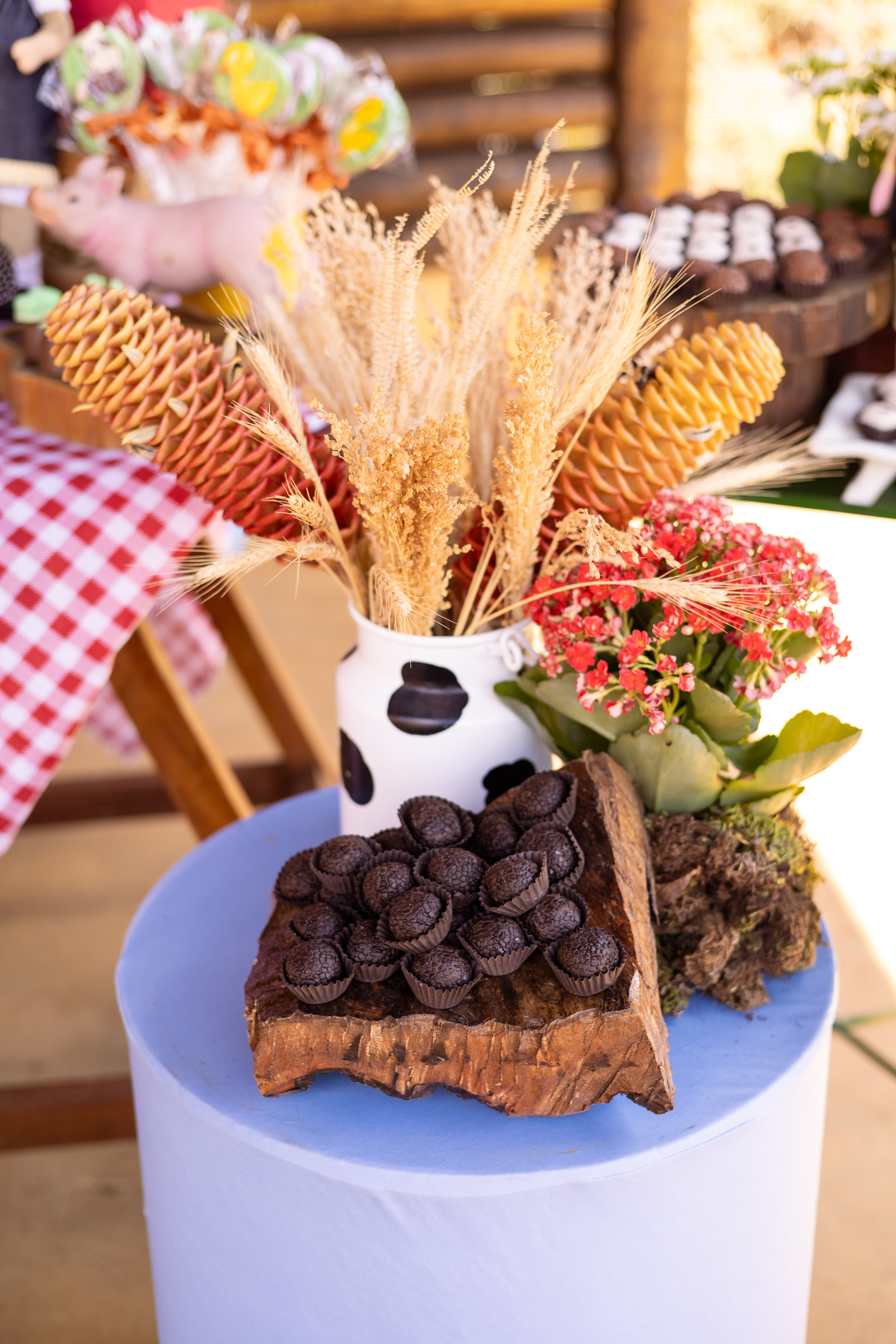 Cursos Camila Farani