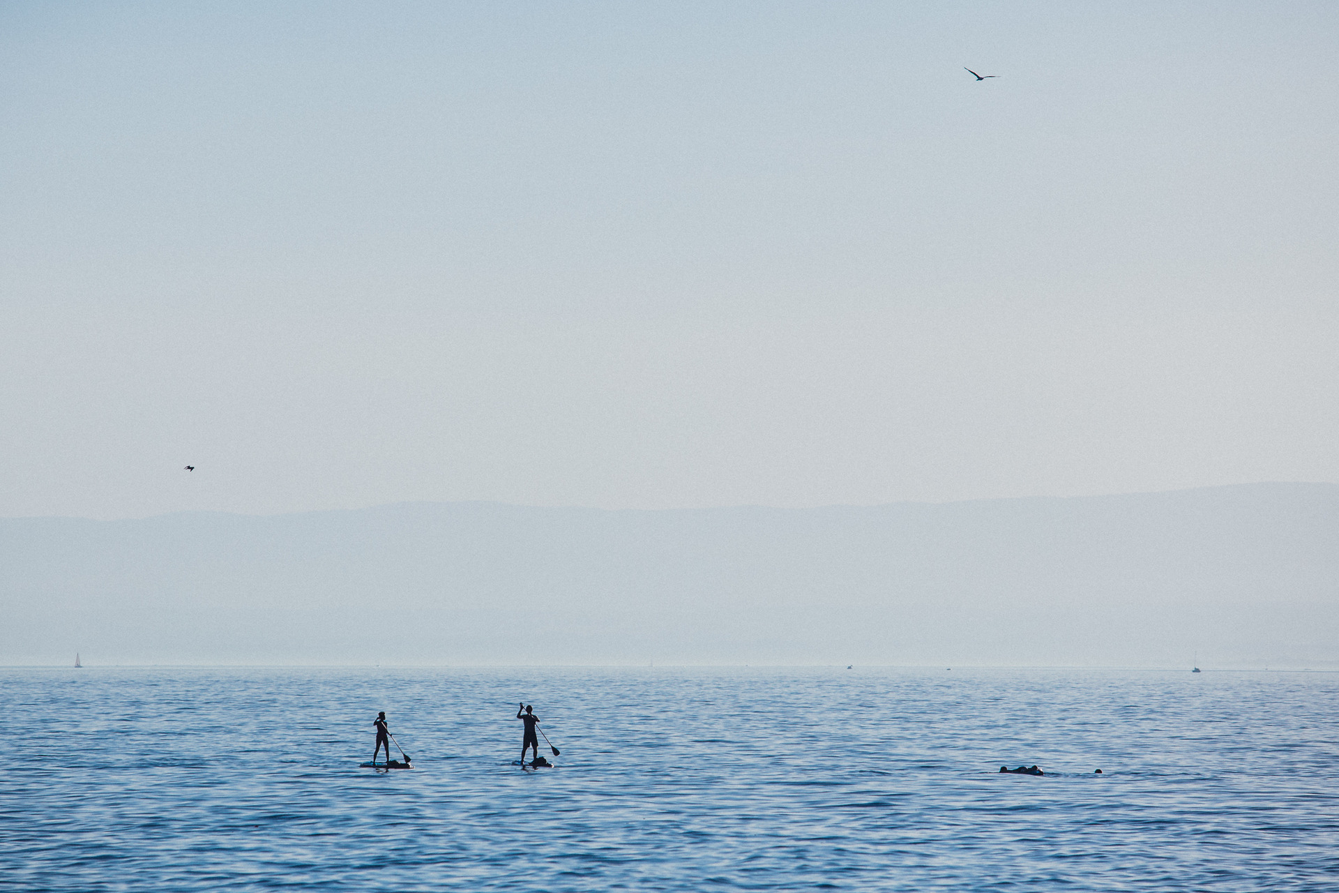 vevey, suisse, chaplin, suica, nestle, max brito fotografo, fotografia, fotografo de joao pessoa, europa, fine art , chaplin