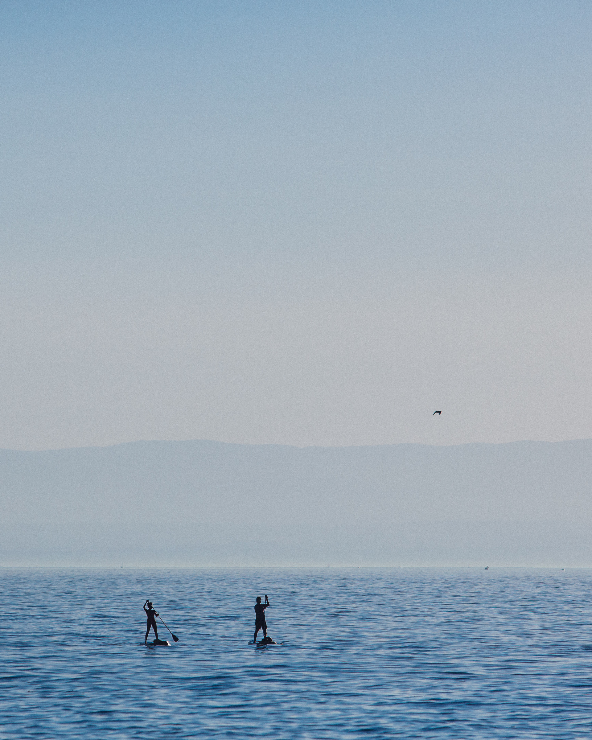 vevey, suisse, chaplin, suica, nestle, max brito fotografo, fotografia, fotografo de joao pessoa, europa, fine art , chaplin