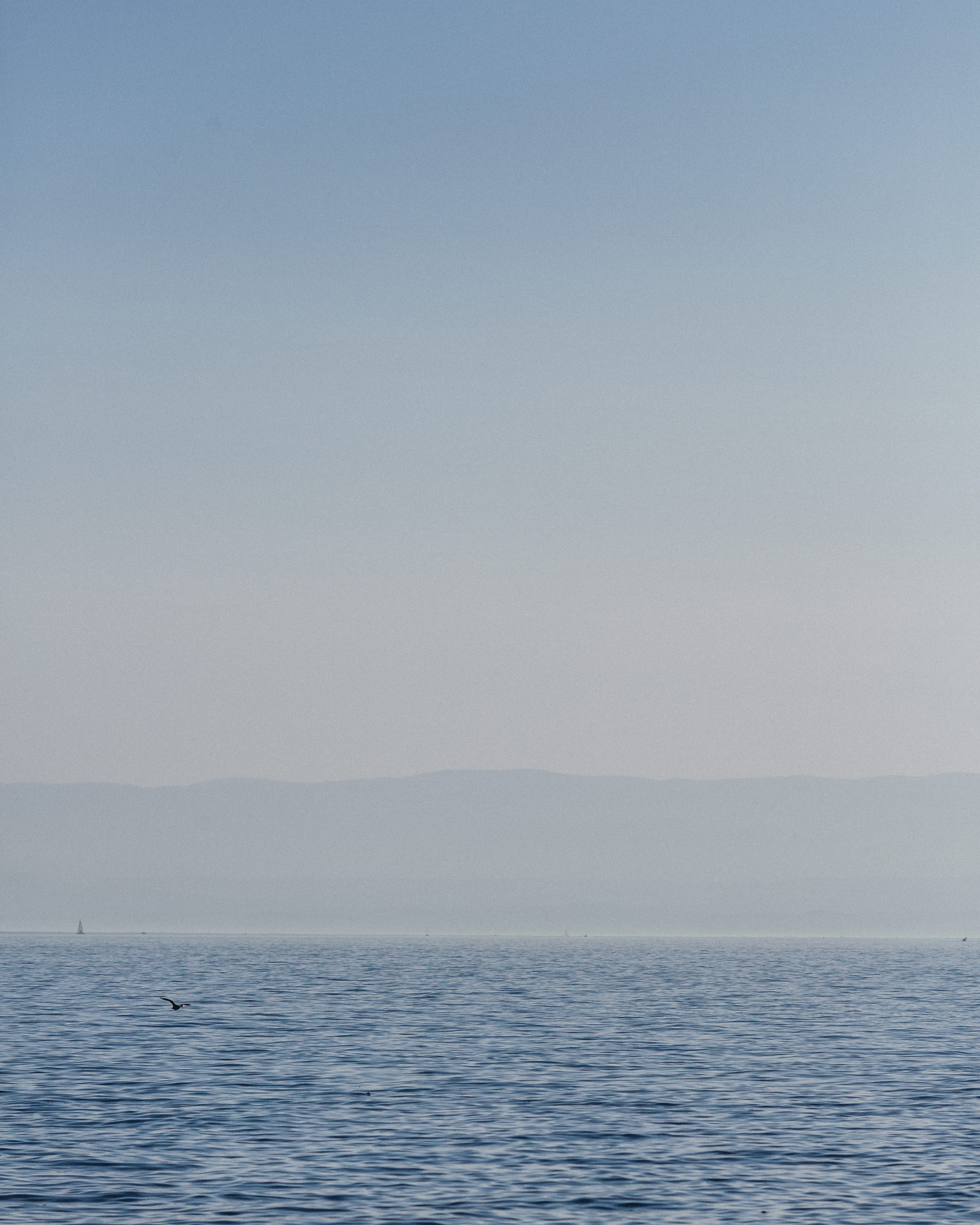 vevey, suisse, chaplin, suica, nestle, max brito fotografo, fotografia, fotografo de joao pessoa, europa, fine art , chaplin