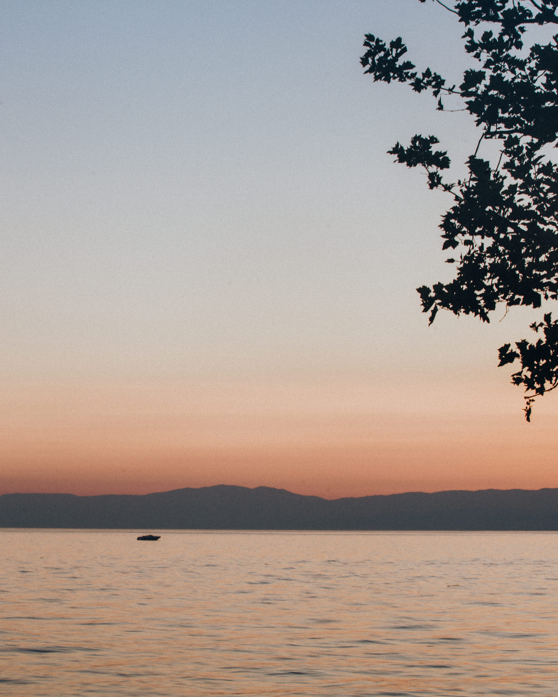 vevey, suisse, chaplin, suica, nestle, max brito fotografo, fotografia, fotografo de joao pessoa, europa, fine art , chaplin
