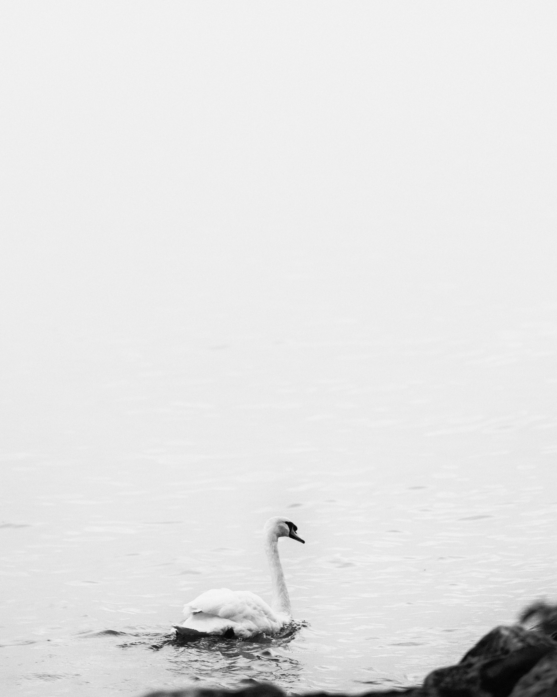 vevey, suisse, chaplin, suica, nestle, max brito fotografo, fotografia, fotografo de joao pessoa, europa, fine art , chaplin
