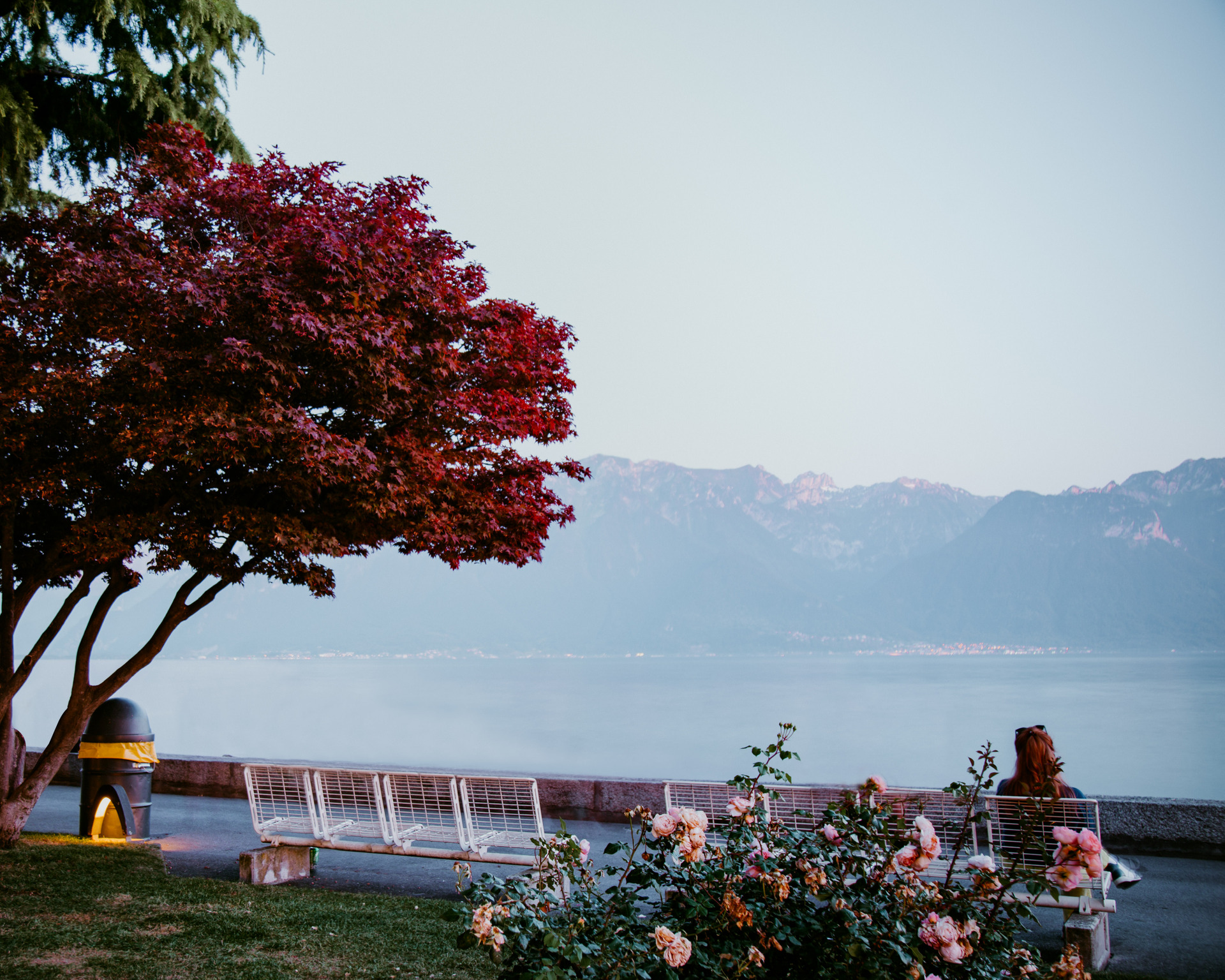 vevey, suisse, chaplin, suica, nestle, max brito fotografo, fotografia, fotografo de joao pessoa, europa, fine art , chaplin