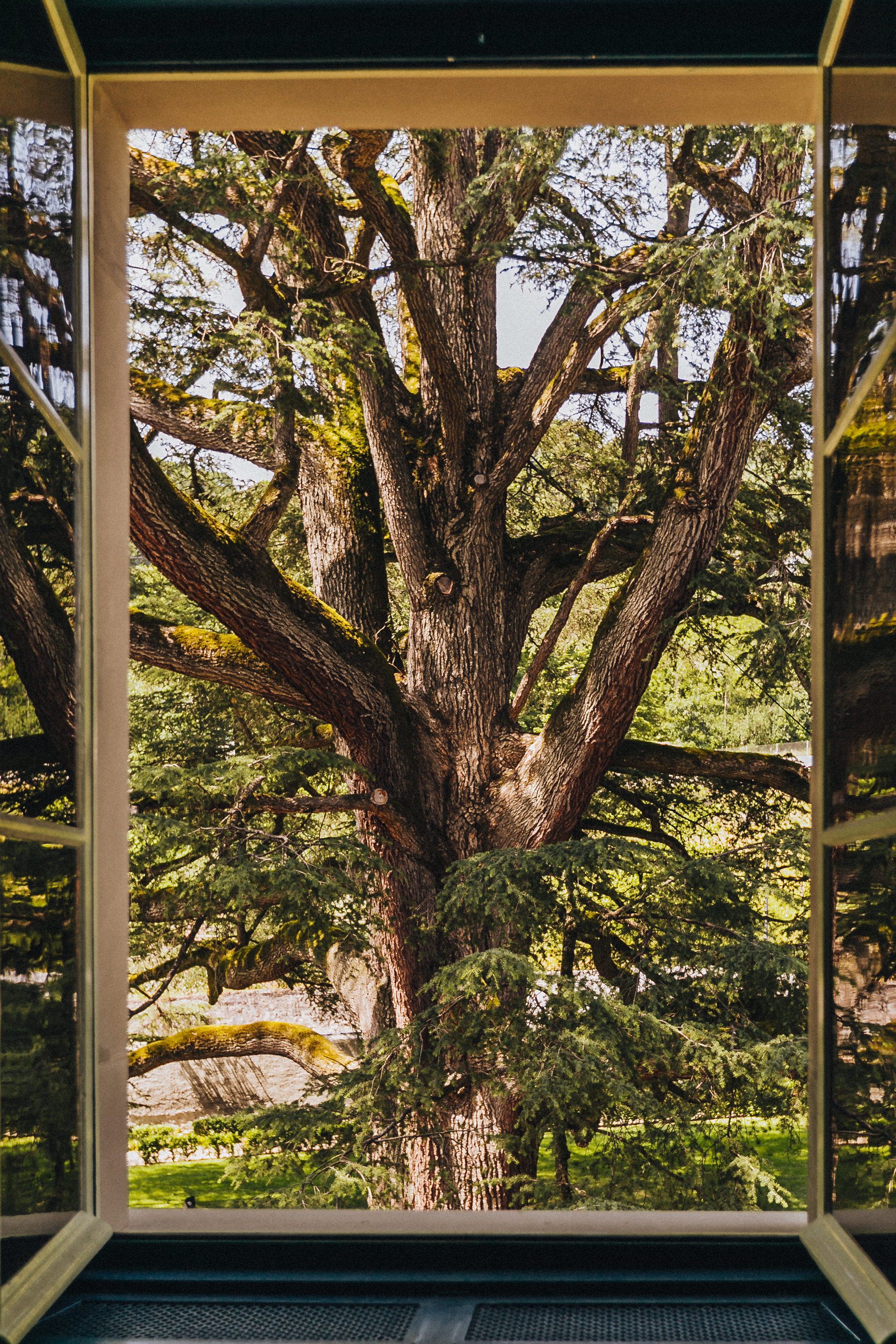 vevey, suisse, chaplin, suica, nestle, max brito fotografo, fotografia, fotografo de joao pessoa, europa, fine art , chaplin