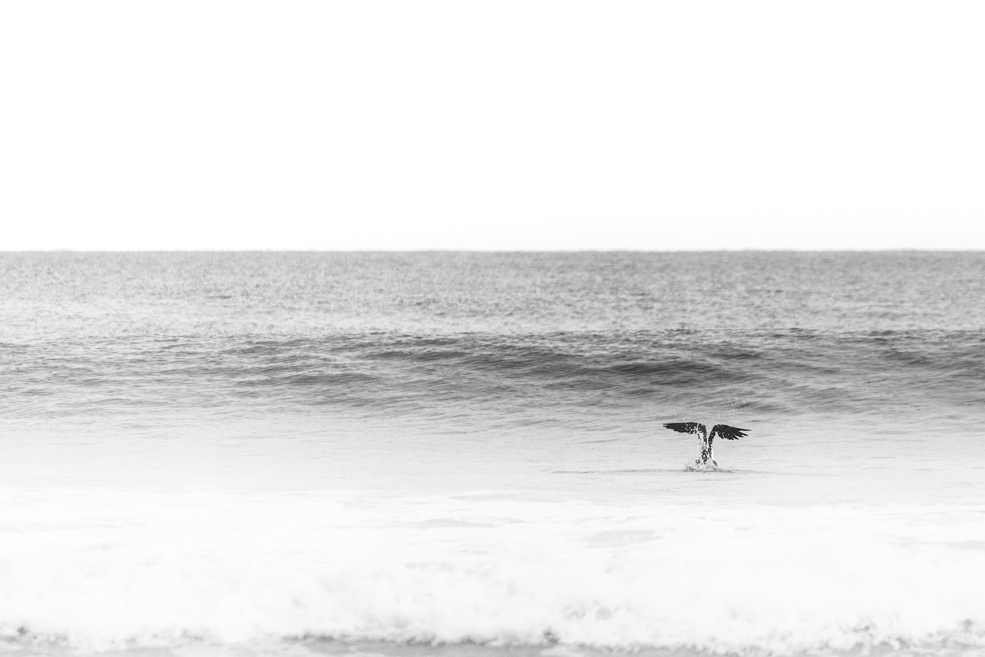 vevey, suisse, chaplin, suica, nestle, max brito fotografo, fotografia, fotografo de joao pessoa, europa, fine art , chaplin