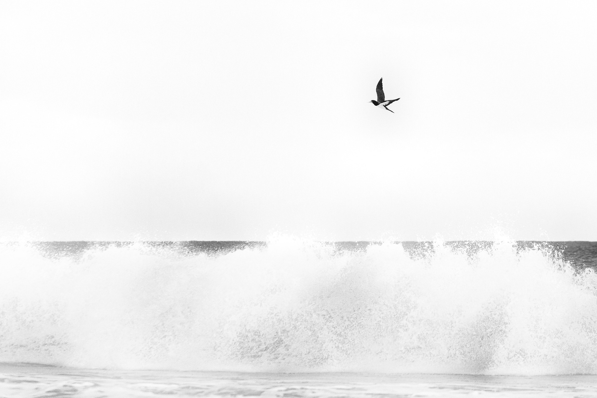 vevey, suisse, chaplin, suica, nestle, max brito fotografo, fotografia, fotografo de joao pessoa, europa, fine art , chaplin
