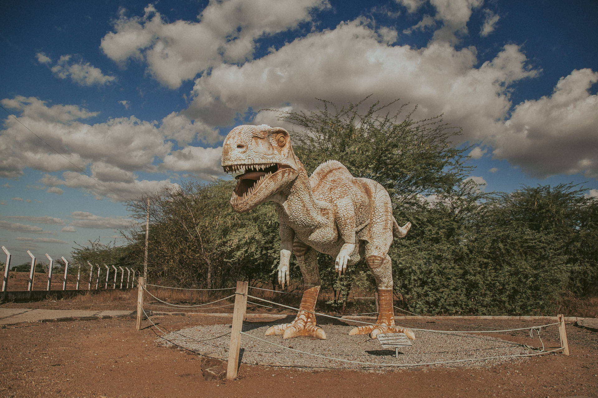 paraiba, vale dos dinossauros, sousa, sertao, dinossauros, fine art