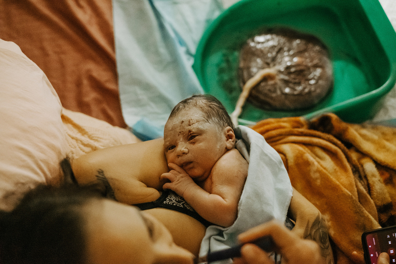 registro carimbo da placenta árvore da vida foto parto São Paulo