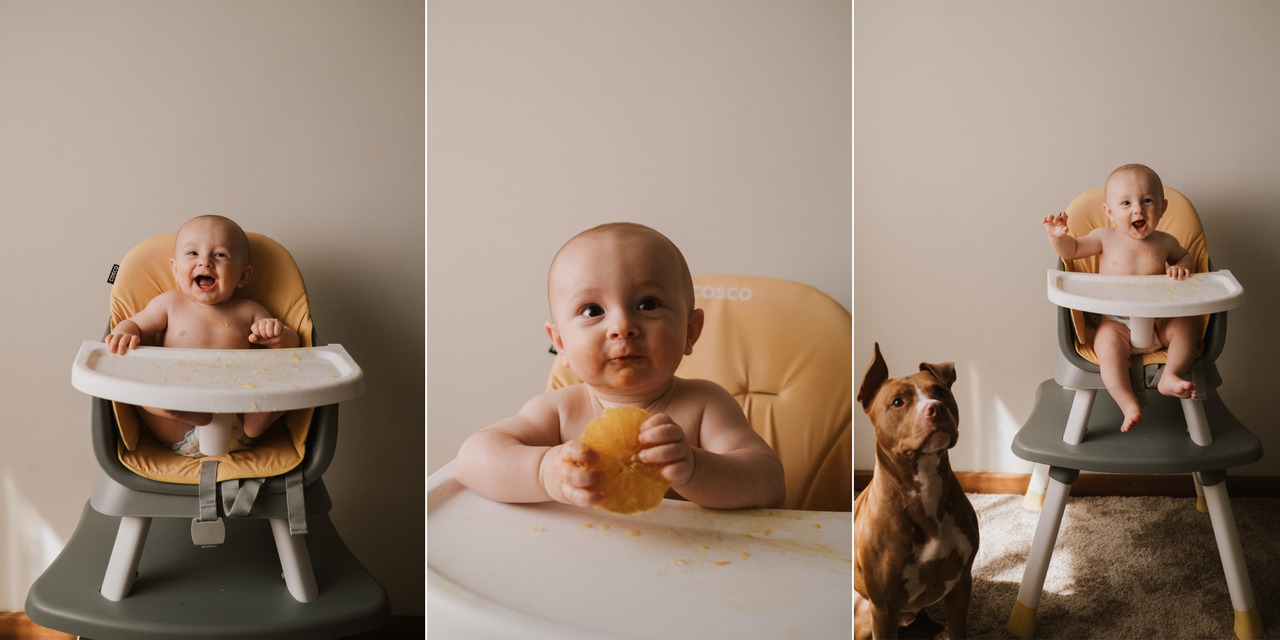 fotos de bebê comendo laranja na sessão de fotos