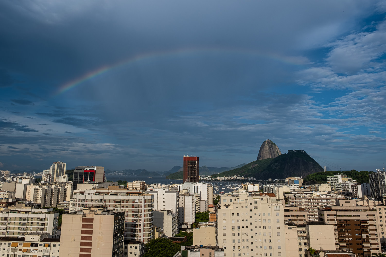 Imagem Solidária - campanha para ajudar pessoas em condição de vulnerabilidade social