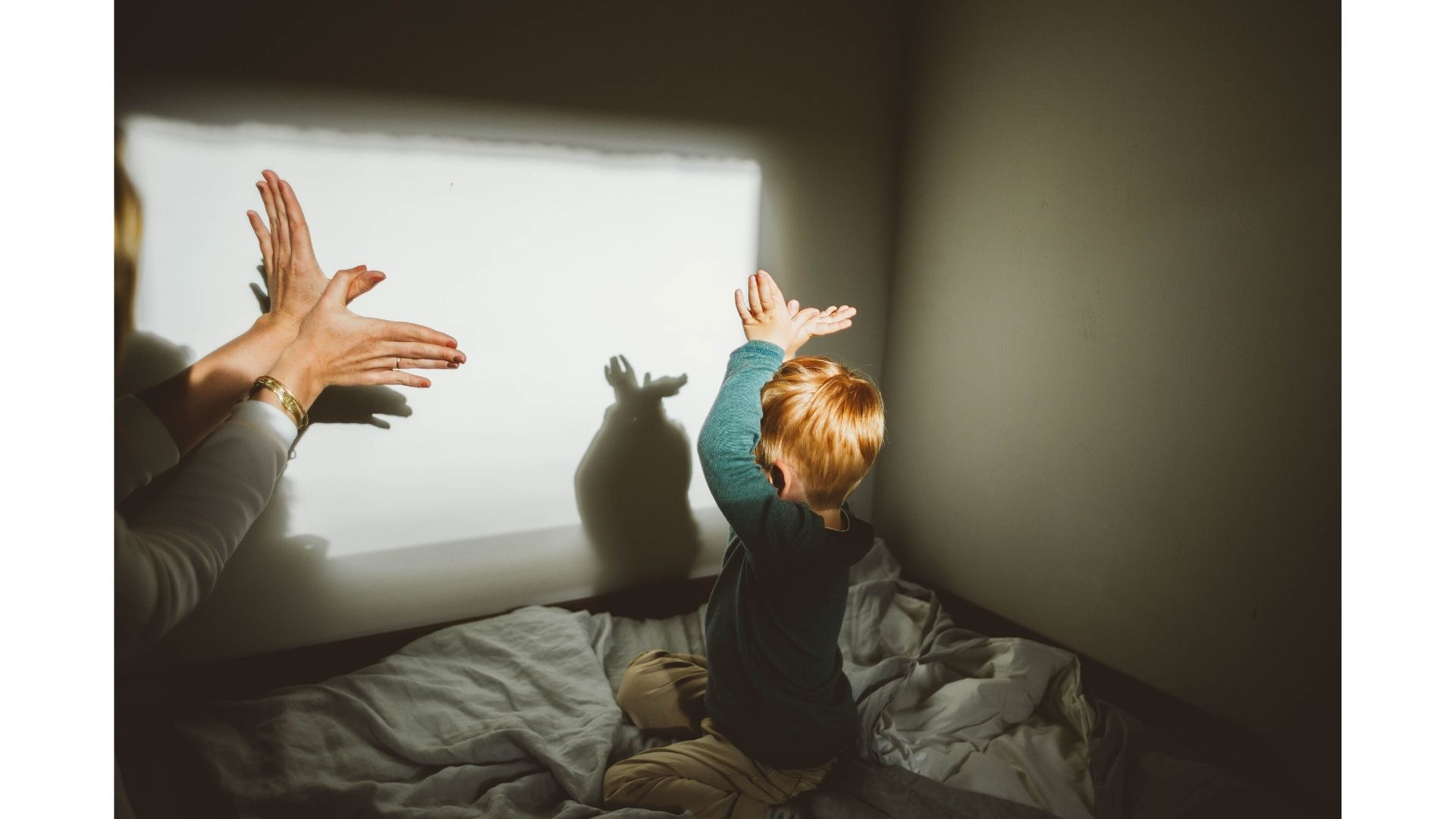 Cursos Camila Farani