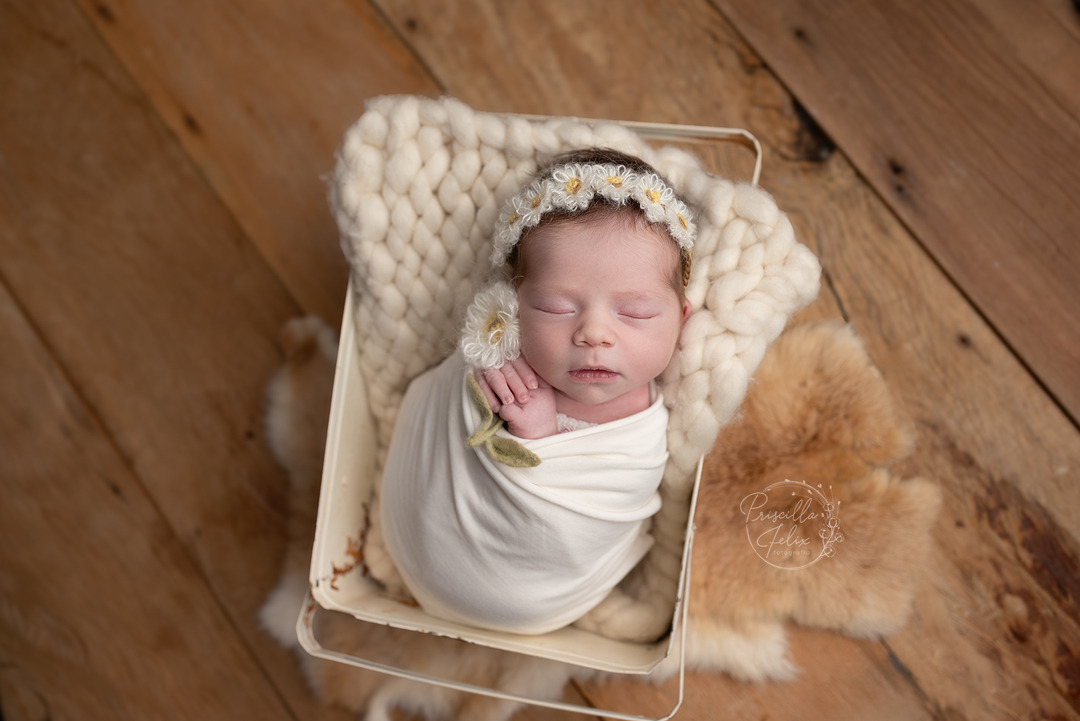 Recém-nascido dormindo em ensaio newborn em estúdio em São Paulo