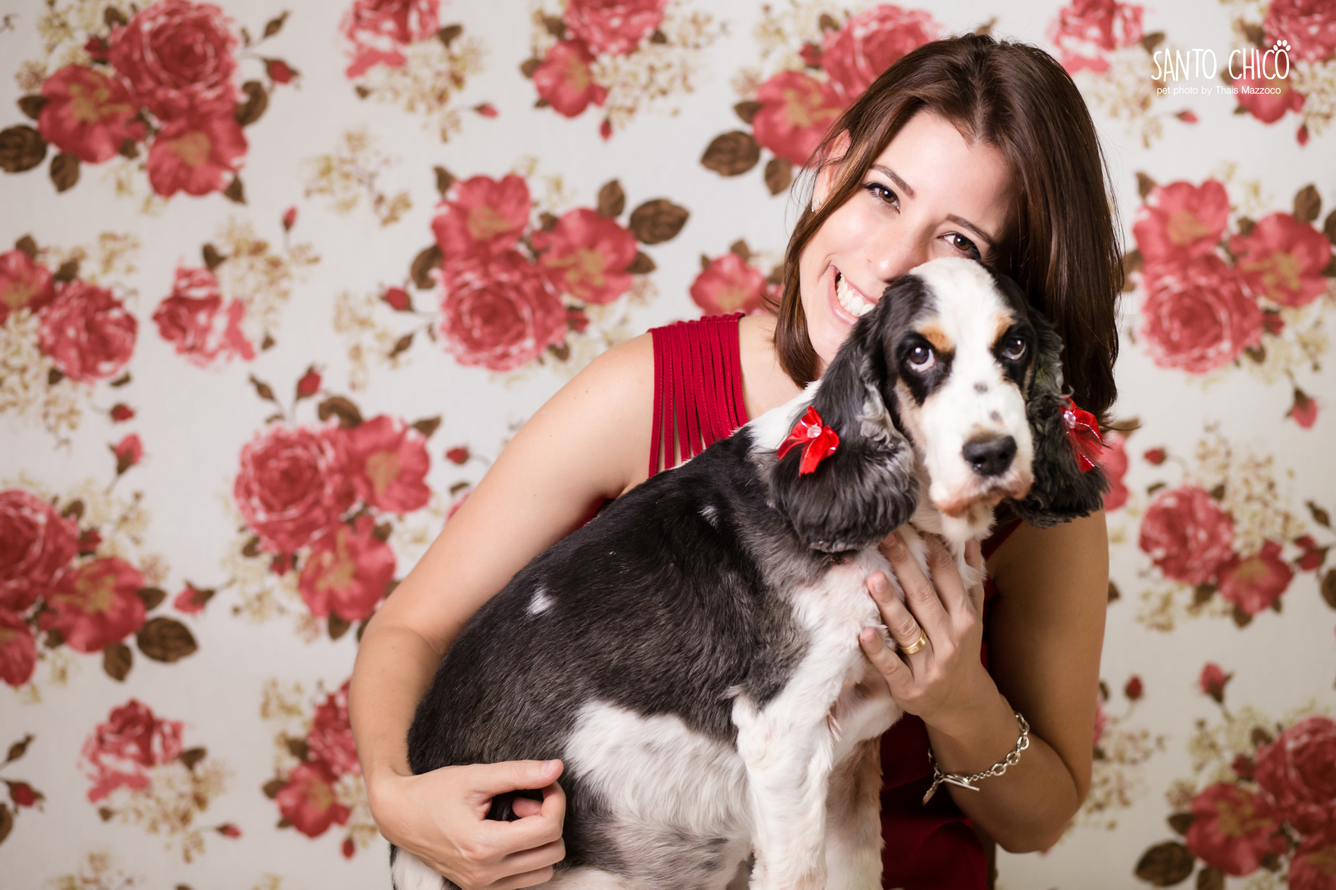 ensaio de aniversario pet ada akita no estudio pet em campinas