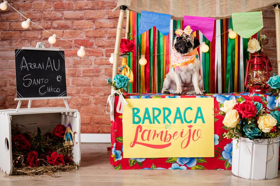 pug no ensaio de festa junina no estudio de fotografia pet santo chico