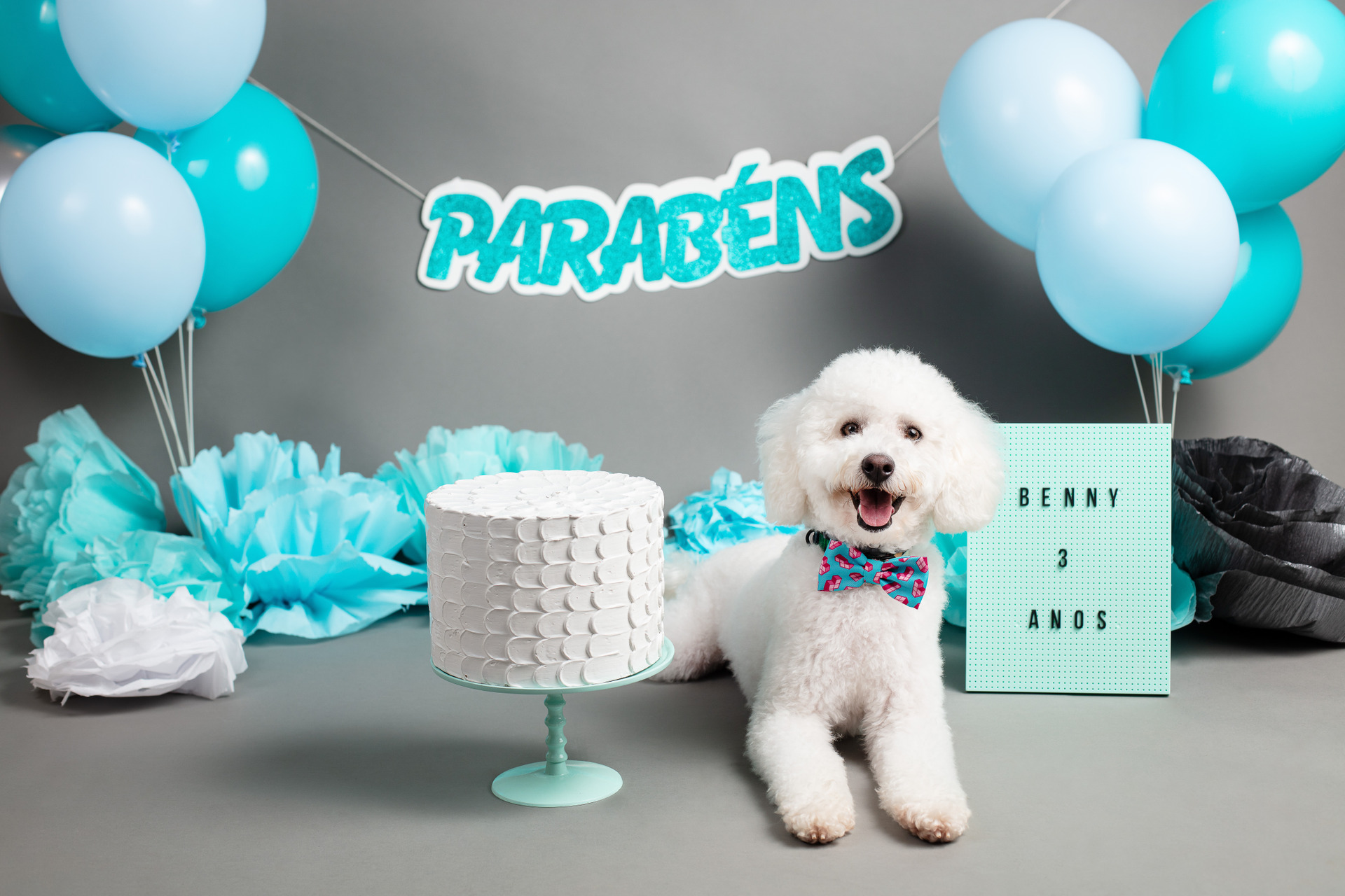 pug no ensaio de festa junina no estudio de fotografia pet santo chico