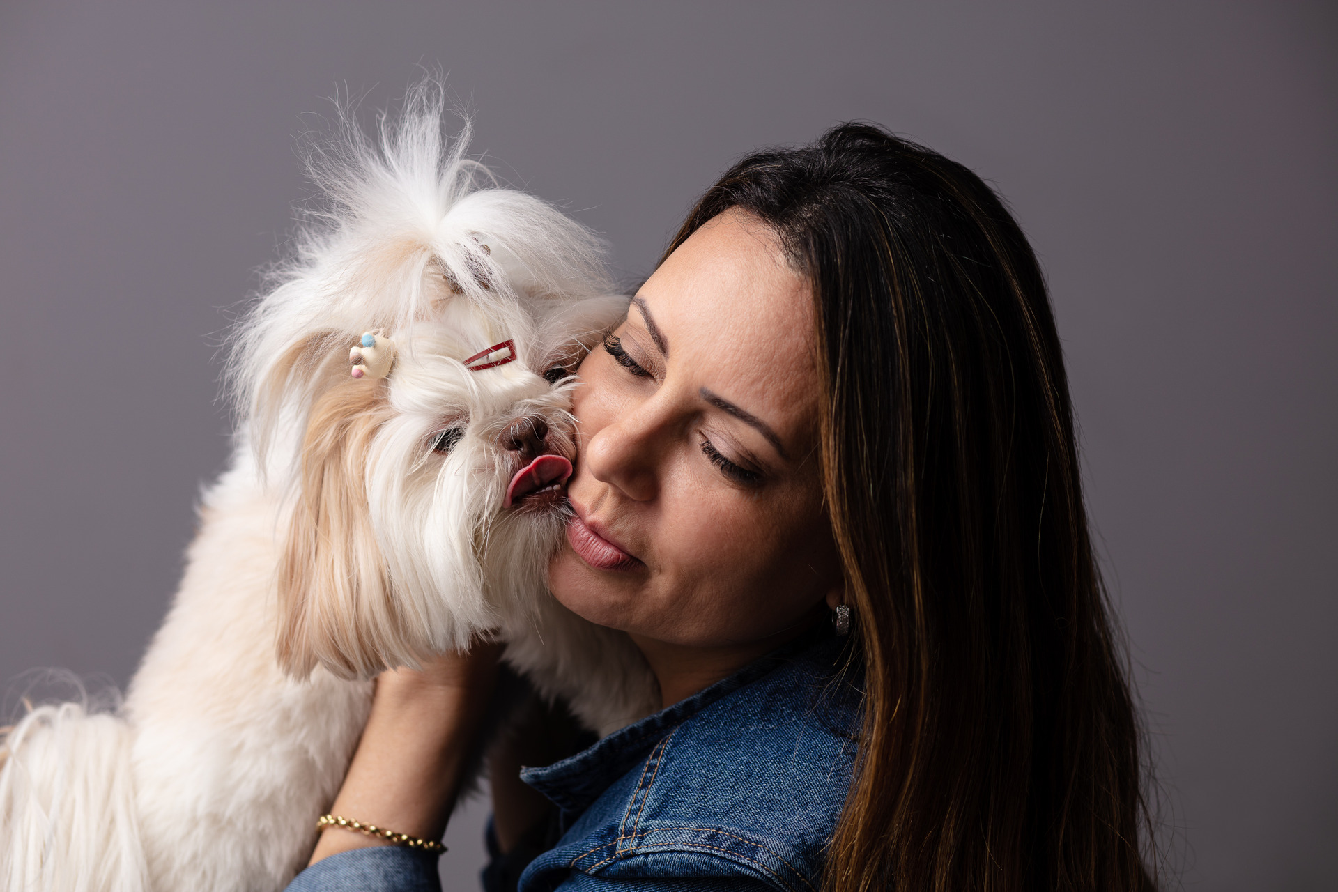 pug no ensaio de festa junina no estudio de fotografia pet santo chico