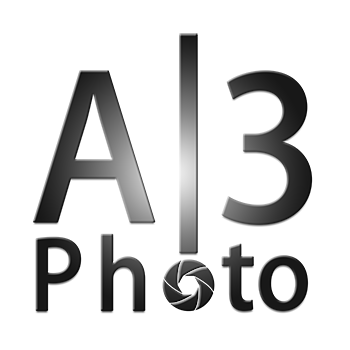 A3 Photo Fotografia de Casamento e Família