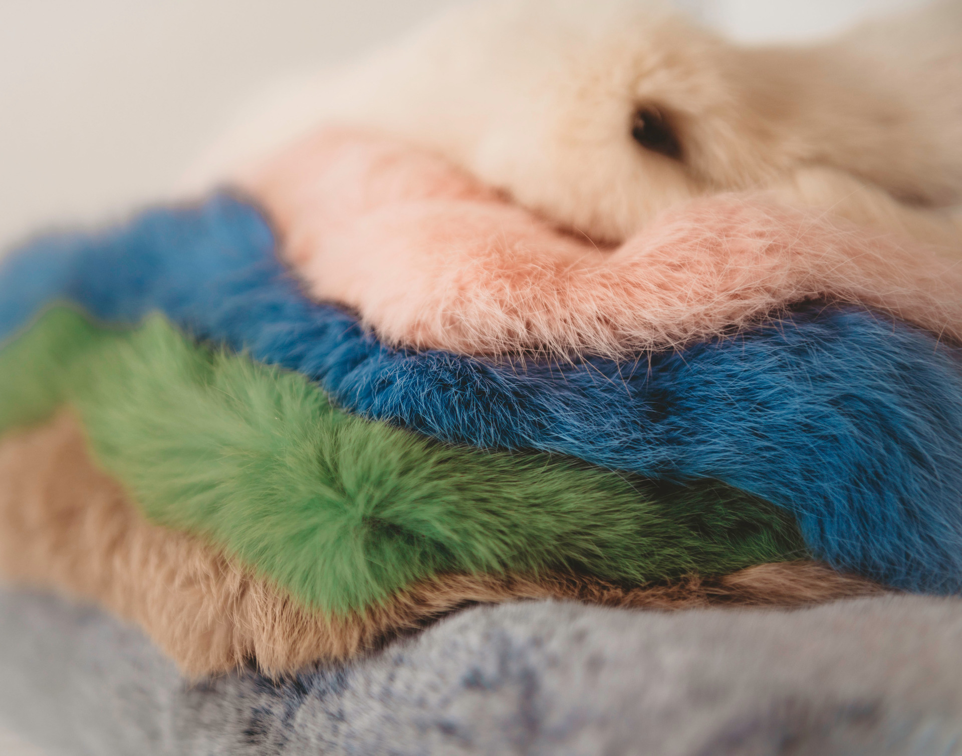 best Katy TX newborn portrait studio, baby photography studio near me, newborn photography packages