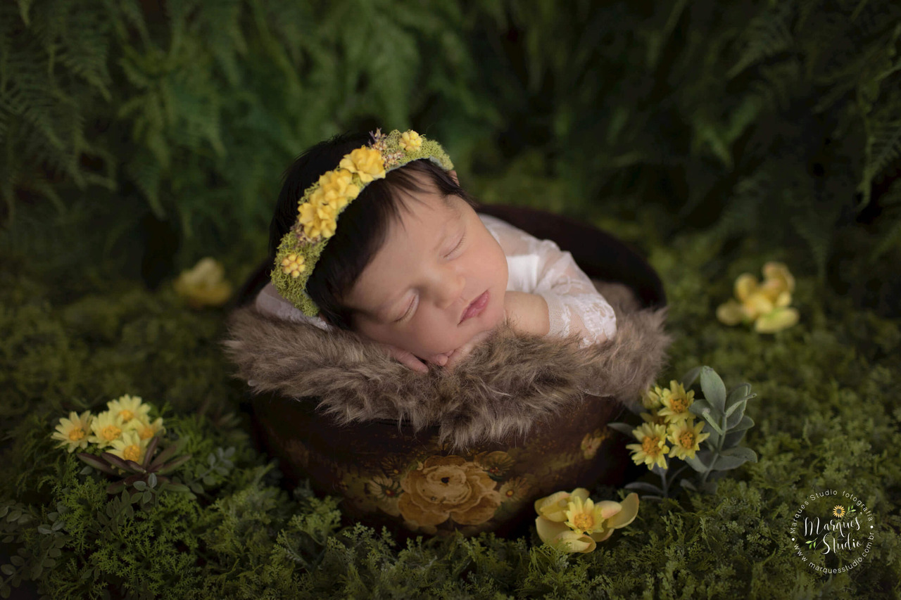 Foto de Ensaio Newborn em São Paulo SP 