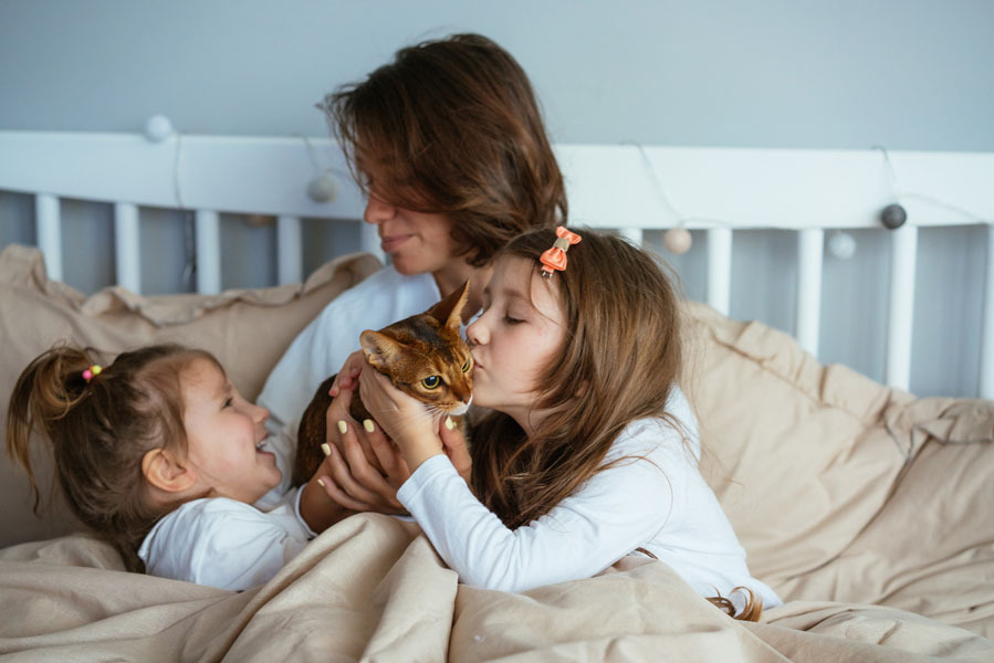 Ensaio gestante com família e Pet